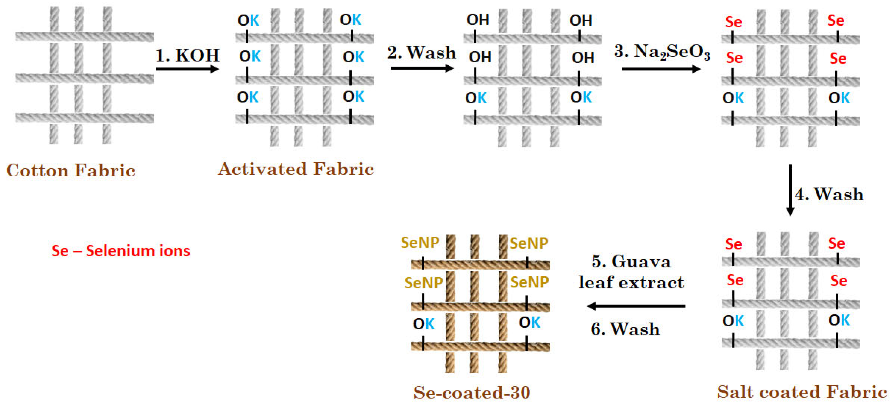Fermentation 09 00018 g001 Fermentation 09 00018 g001