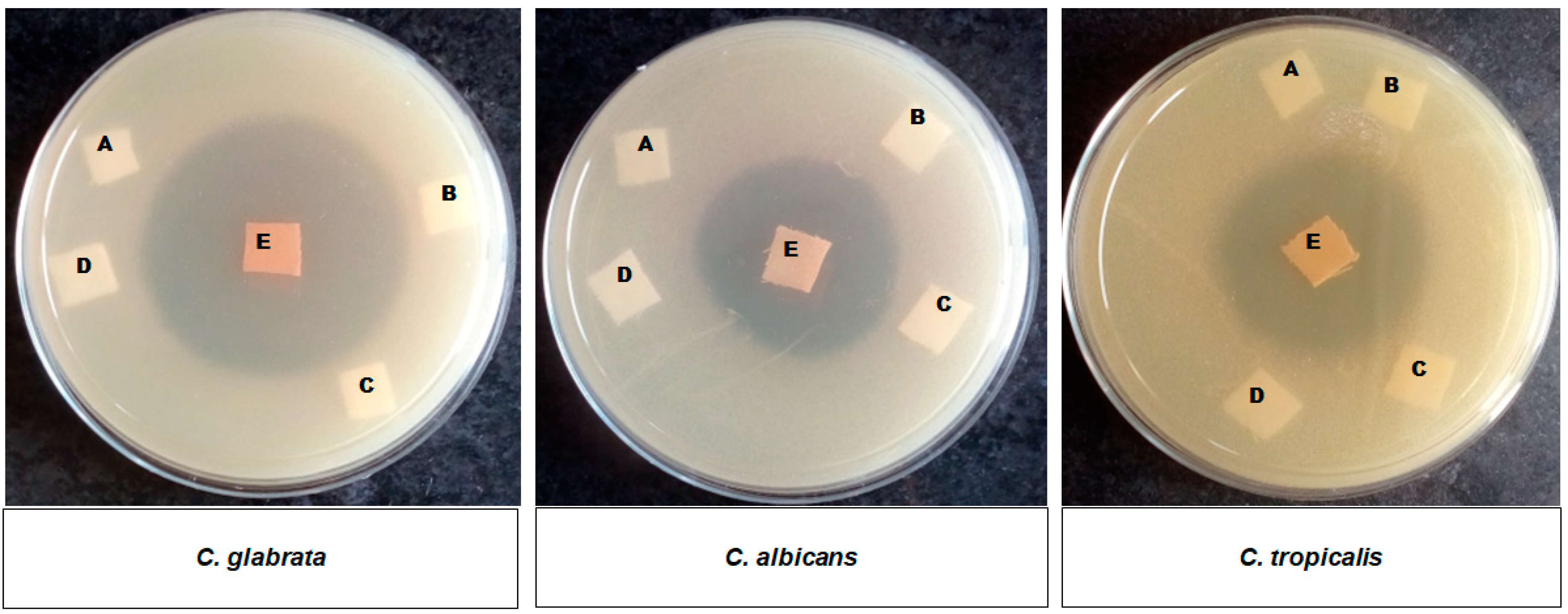 Fermentation 09 00018 g005 Fermentation 09 00018 g005