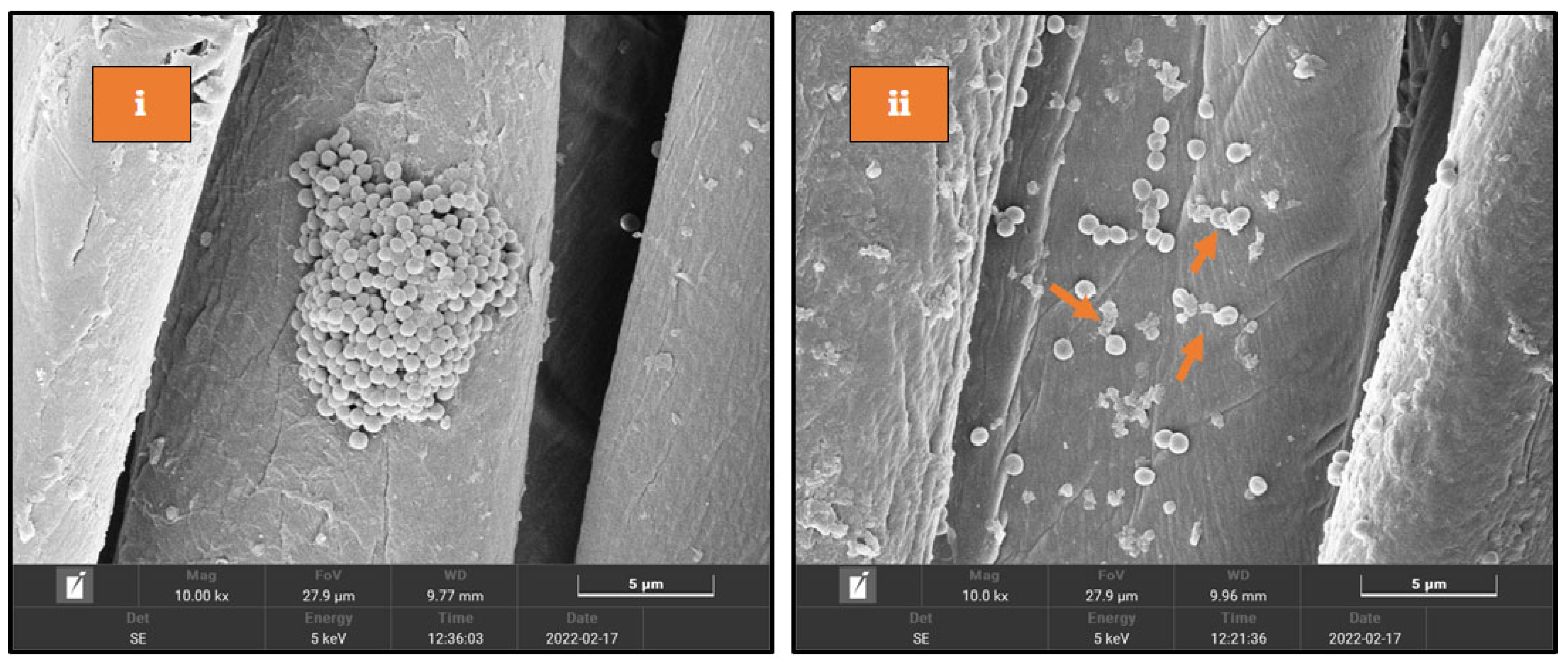 Fermentation 09 00018 g010 Fermentation 09 00018 g010