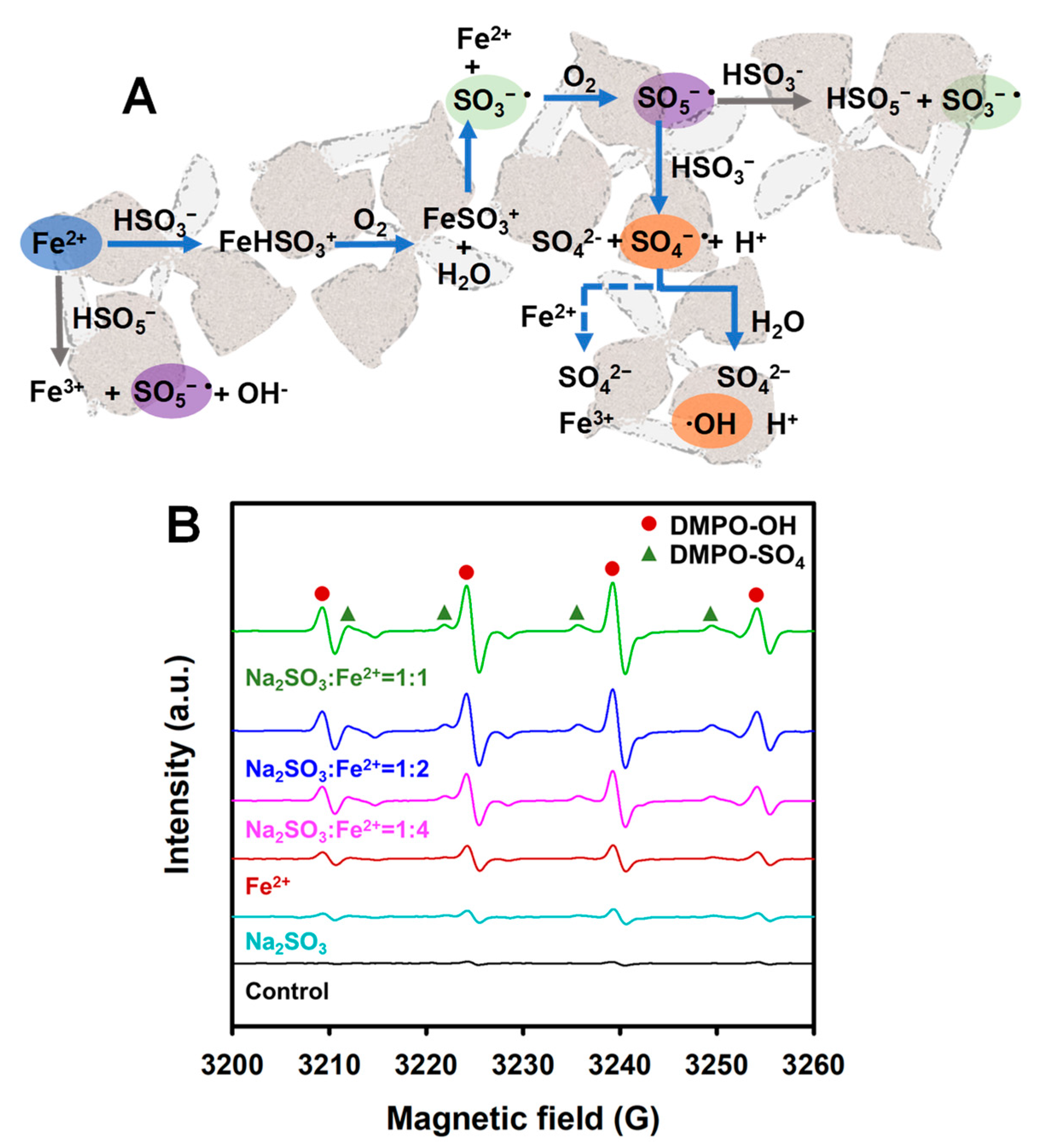 Fermentation 09 00020 g005 Fermentation 09 00020 g005
