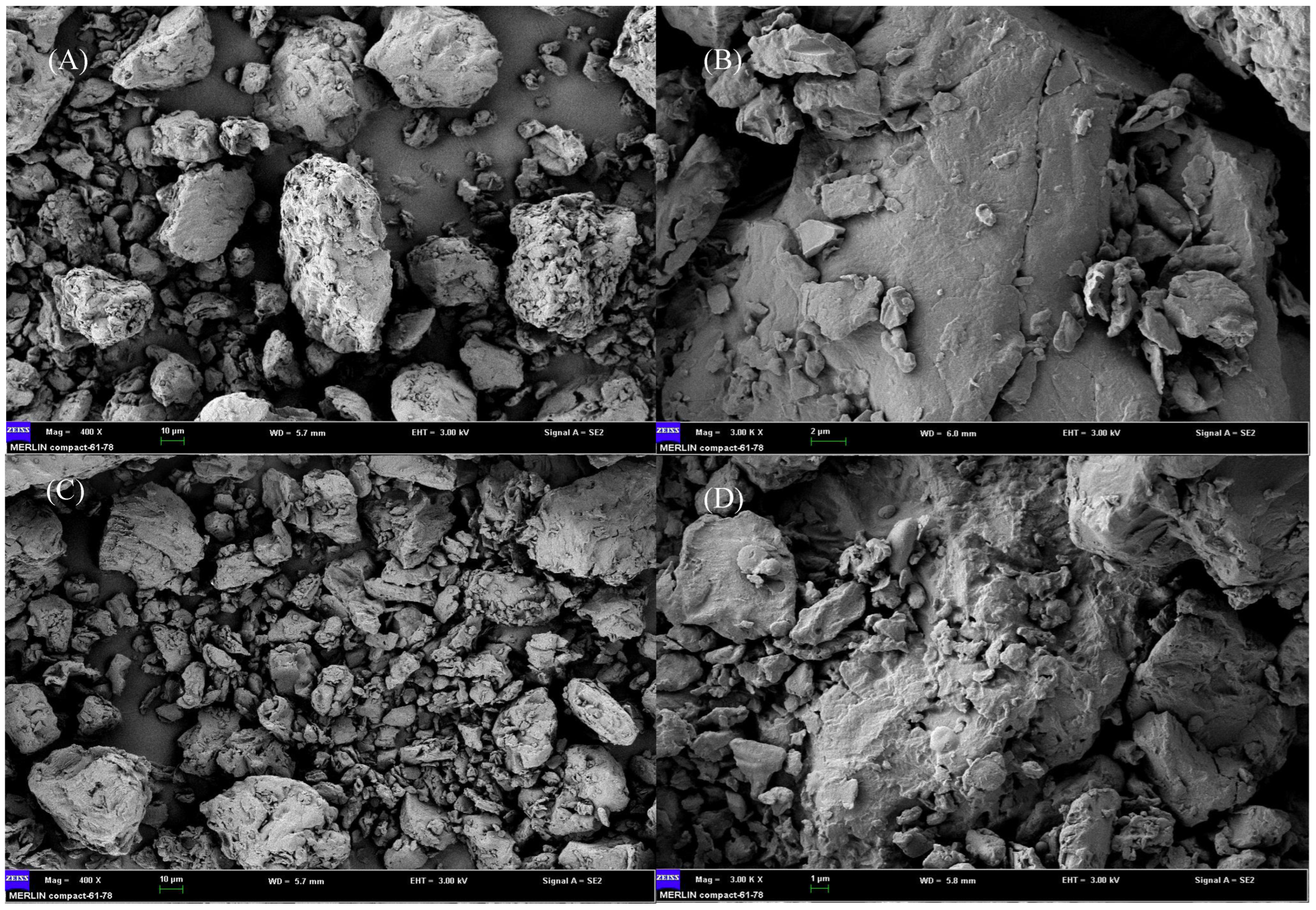 Fermentation 09 00023 g001