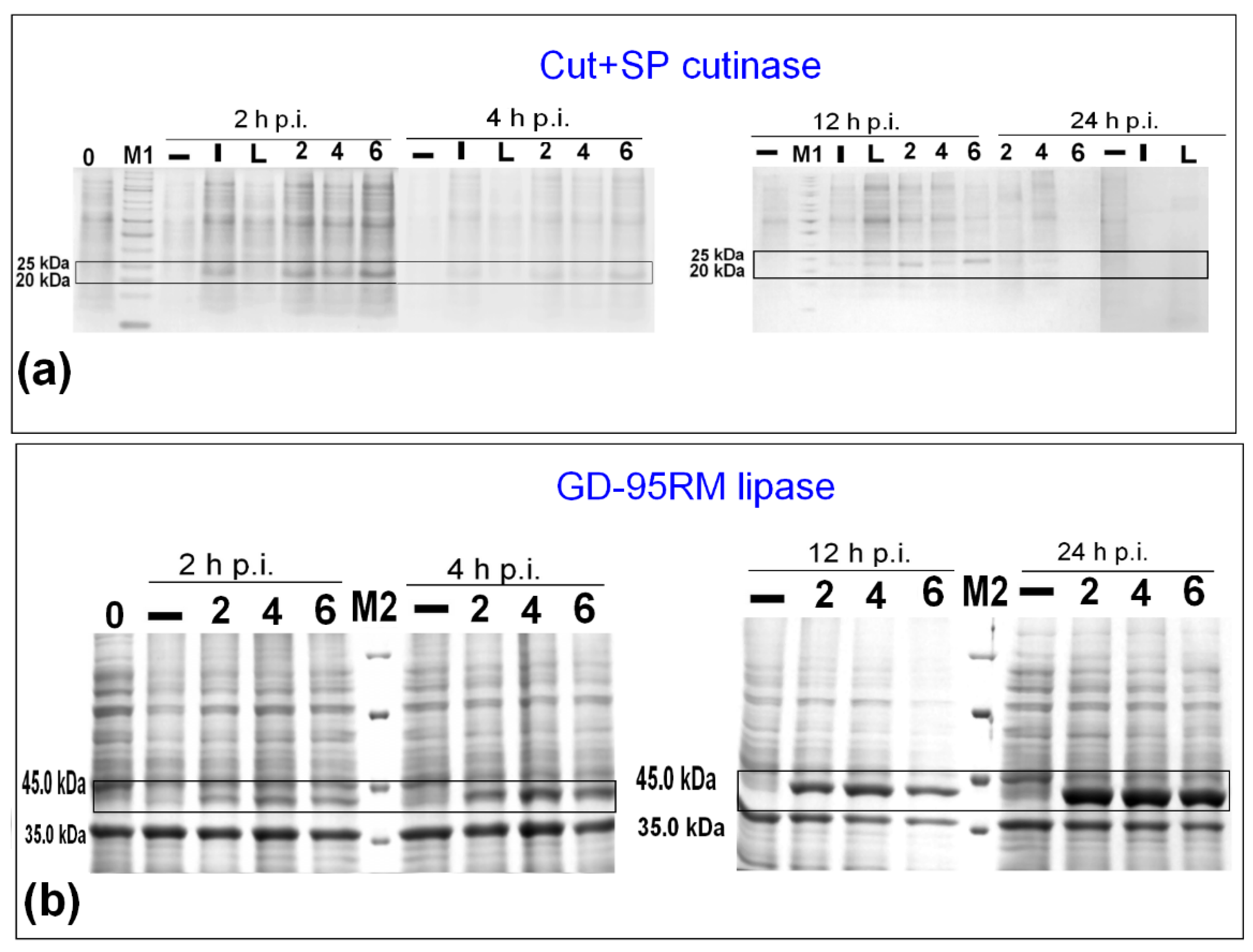 Fermentation 09 00027 g002