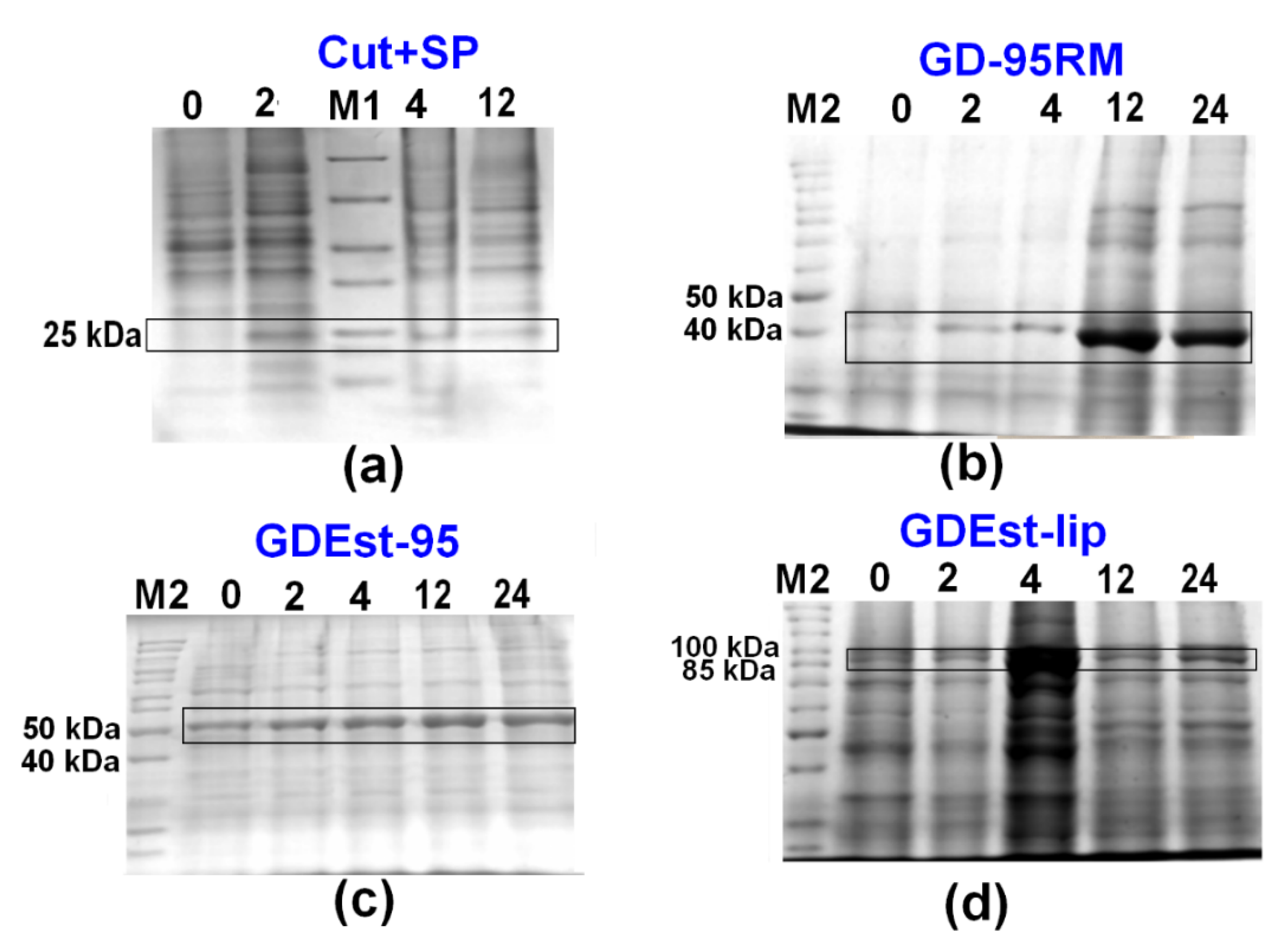 Fermentation 09 00027 g006