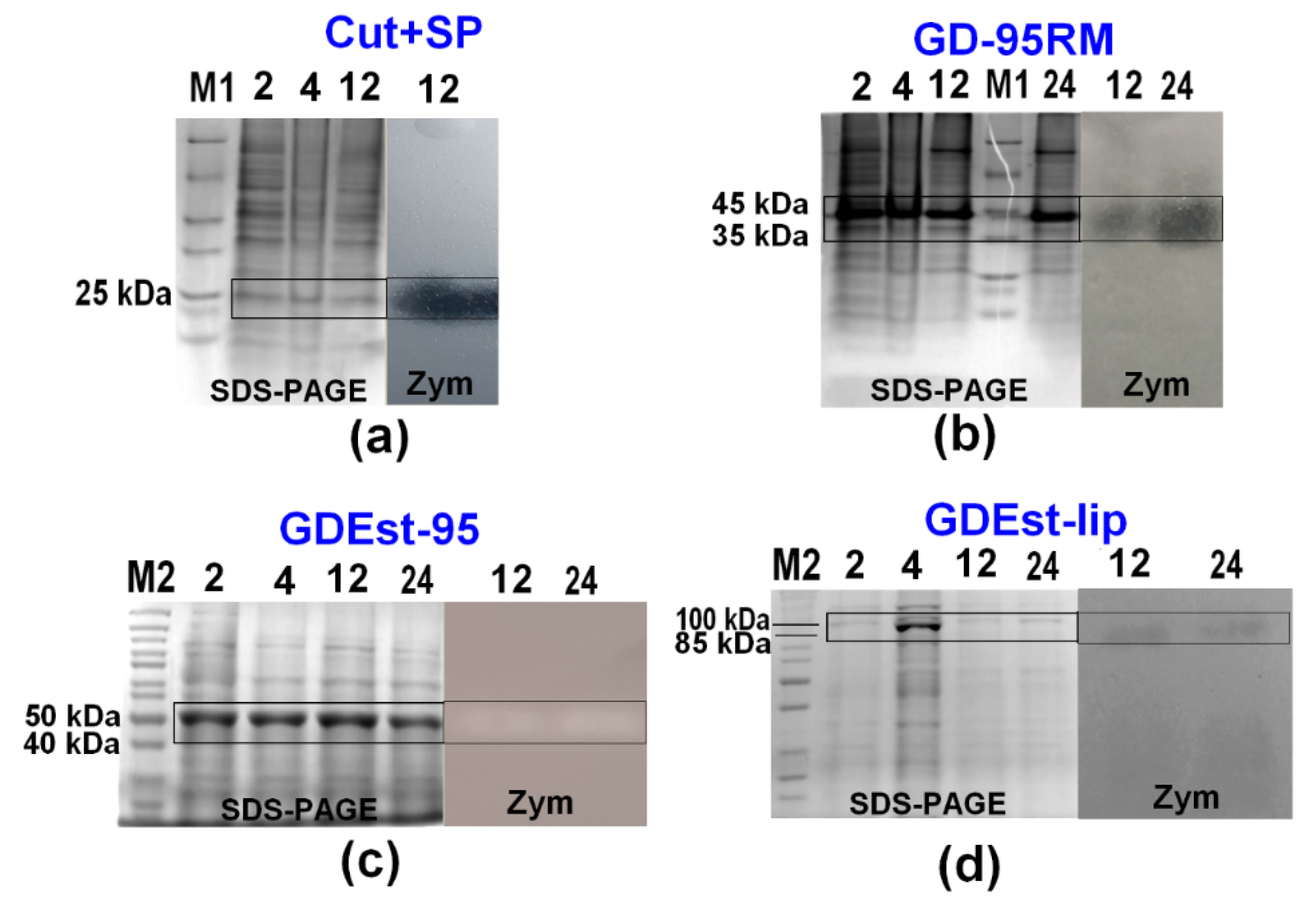 Fermentation 09 00027 g007