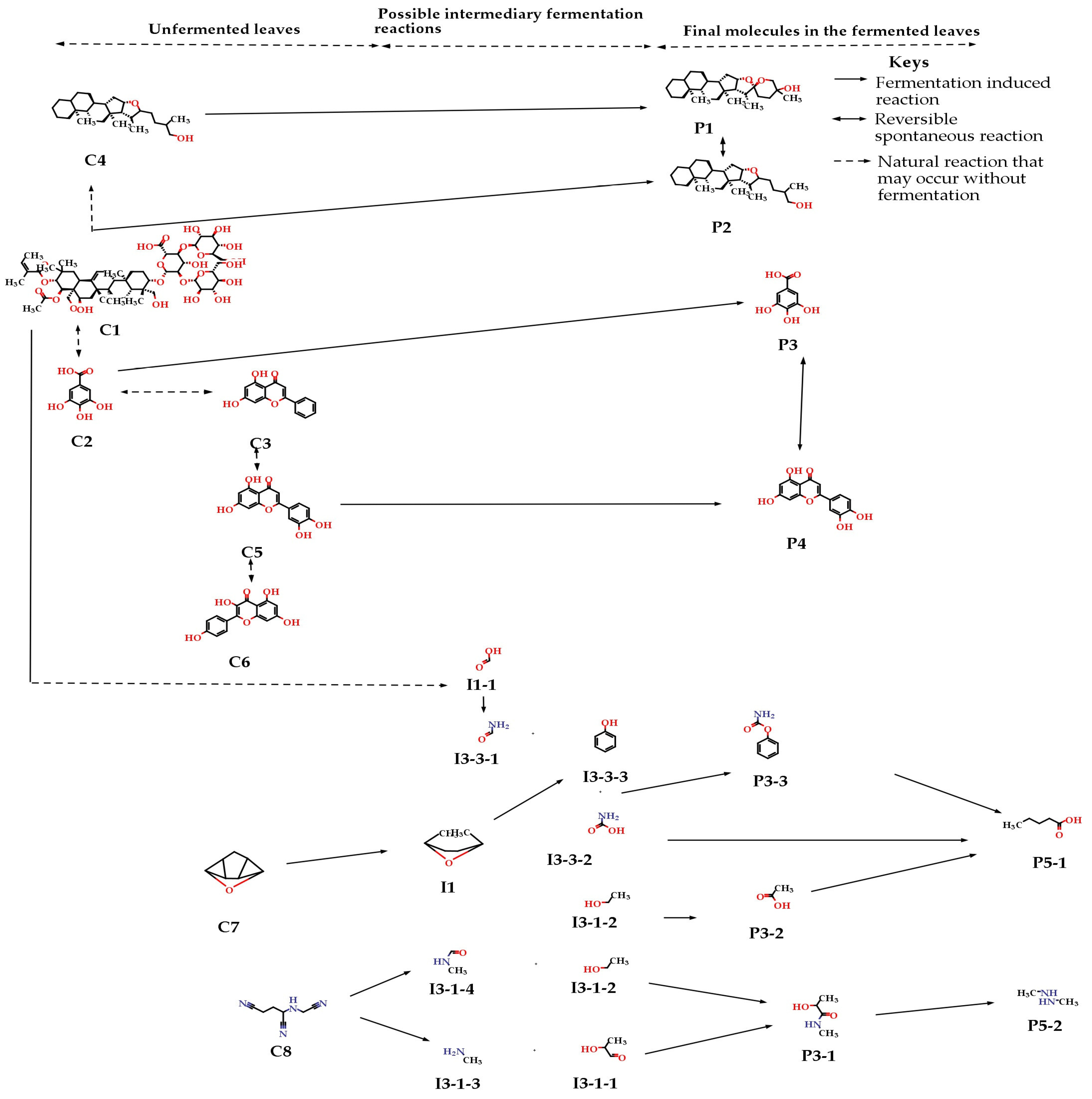 Fermentation 09 00033 g003