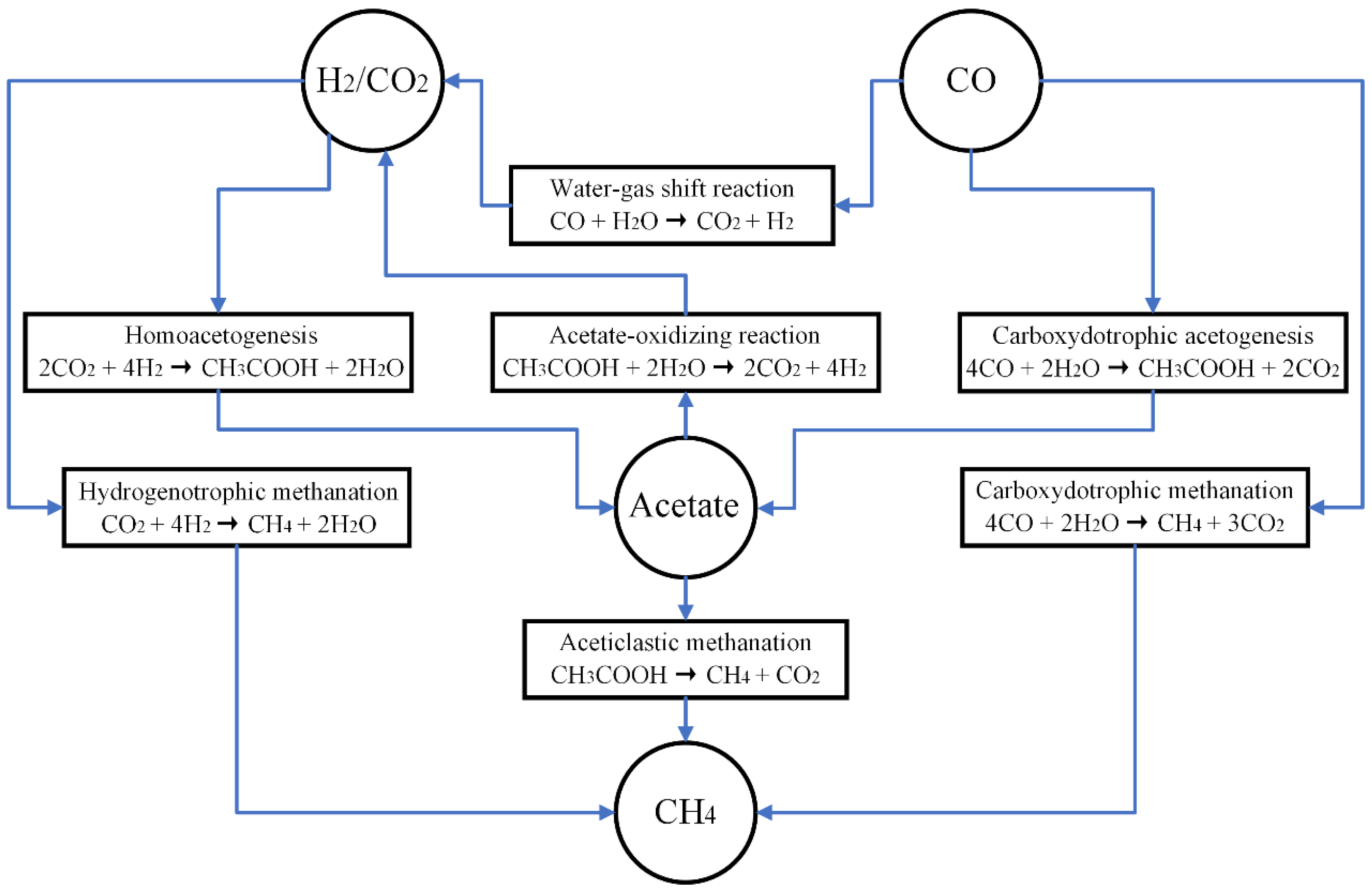 Fermentation 09 00038 g001