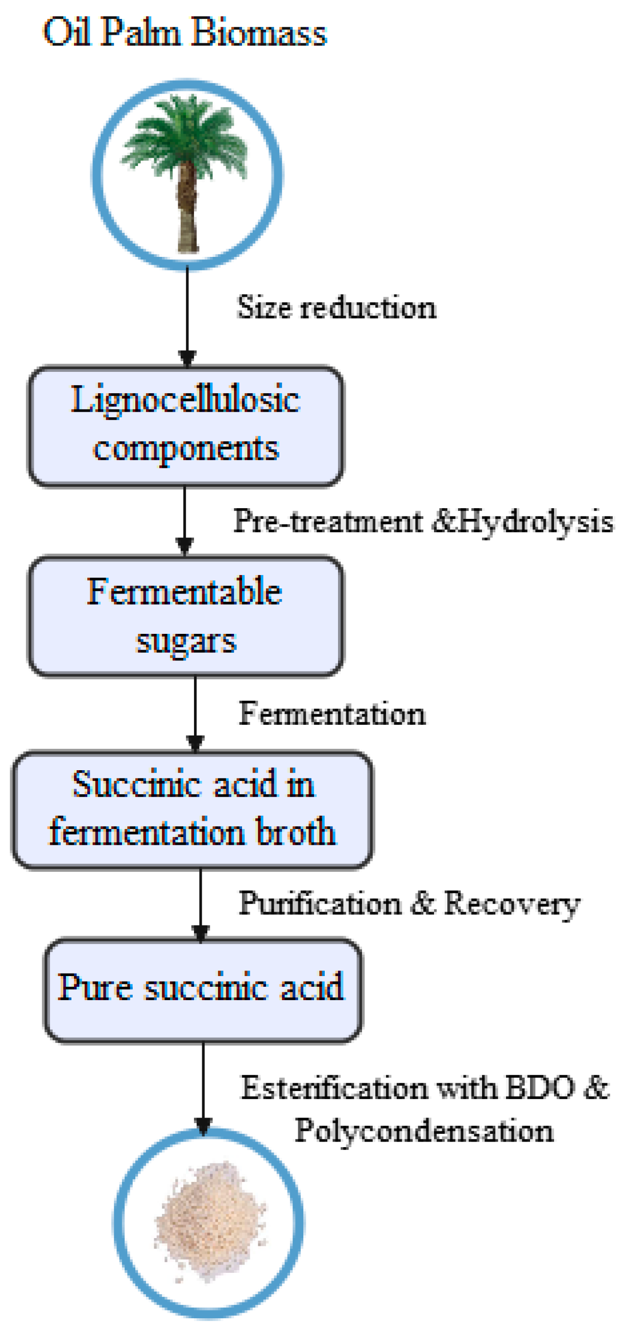 Fermentation 09 00046 g003