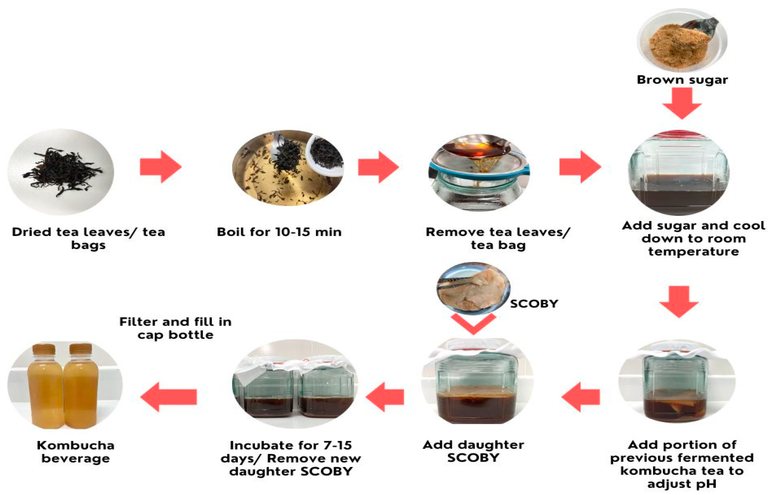 fermentation process research paper