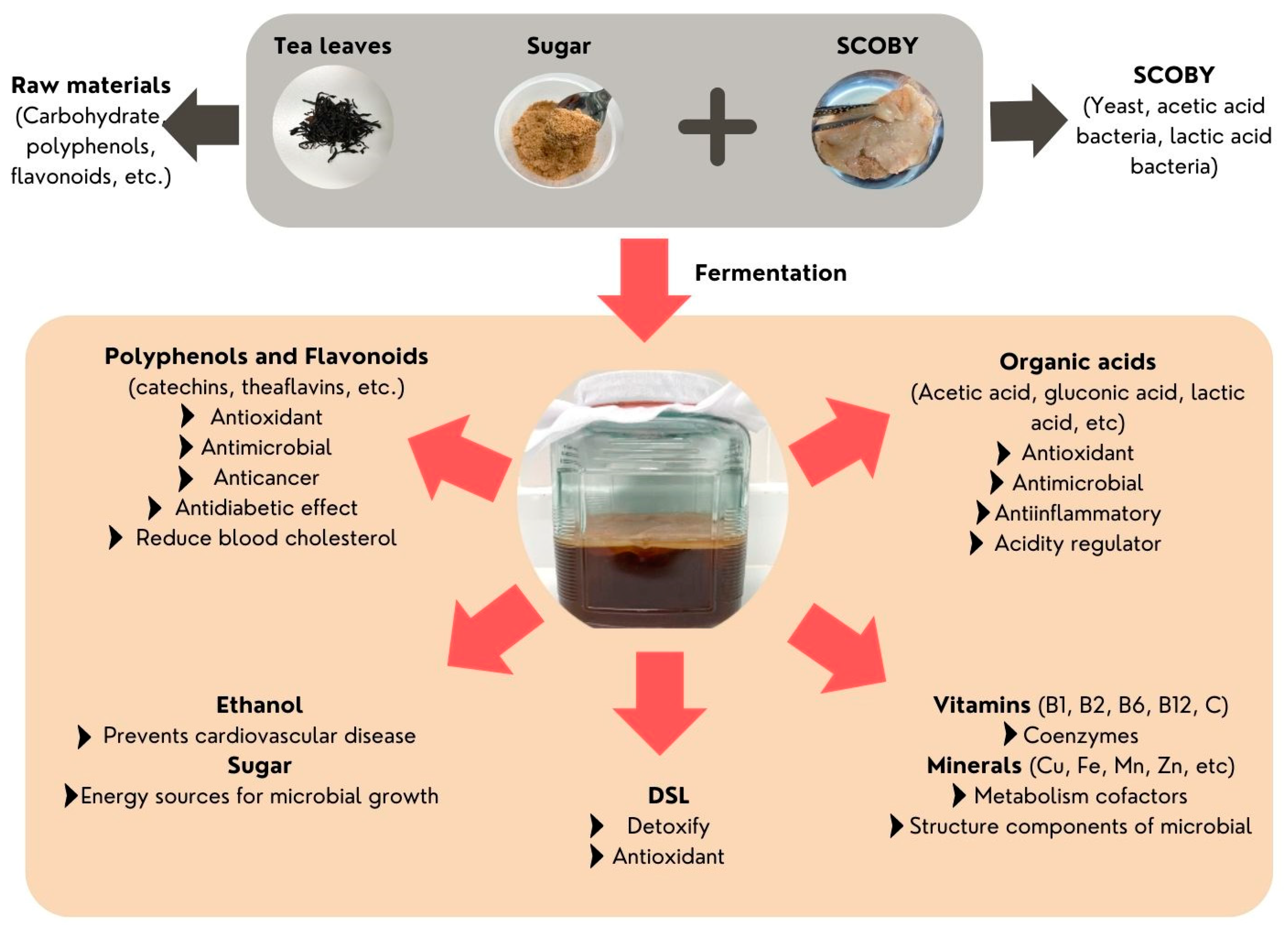 Top 5 health benefits of kombucha