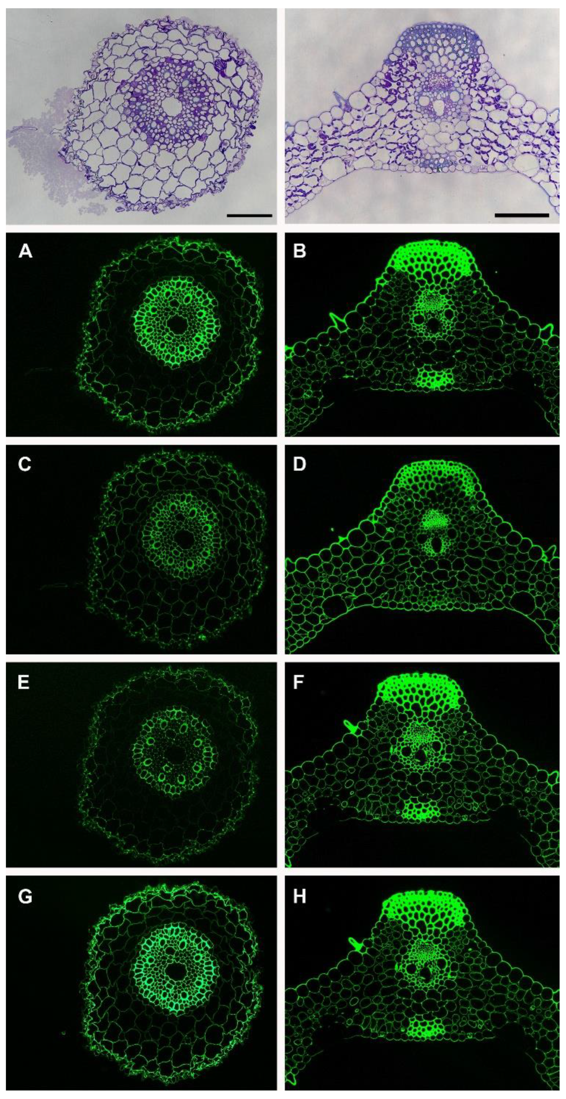 Fermentation 09 00052 g002