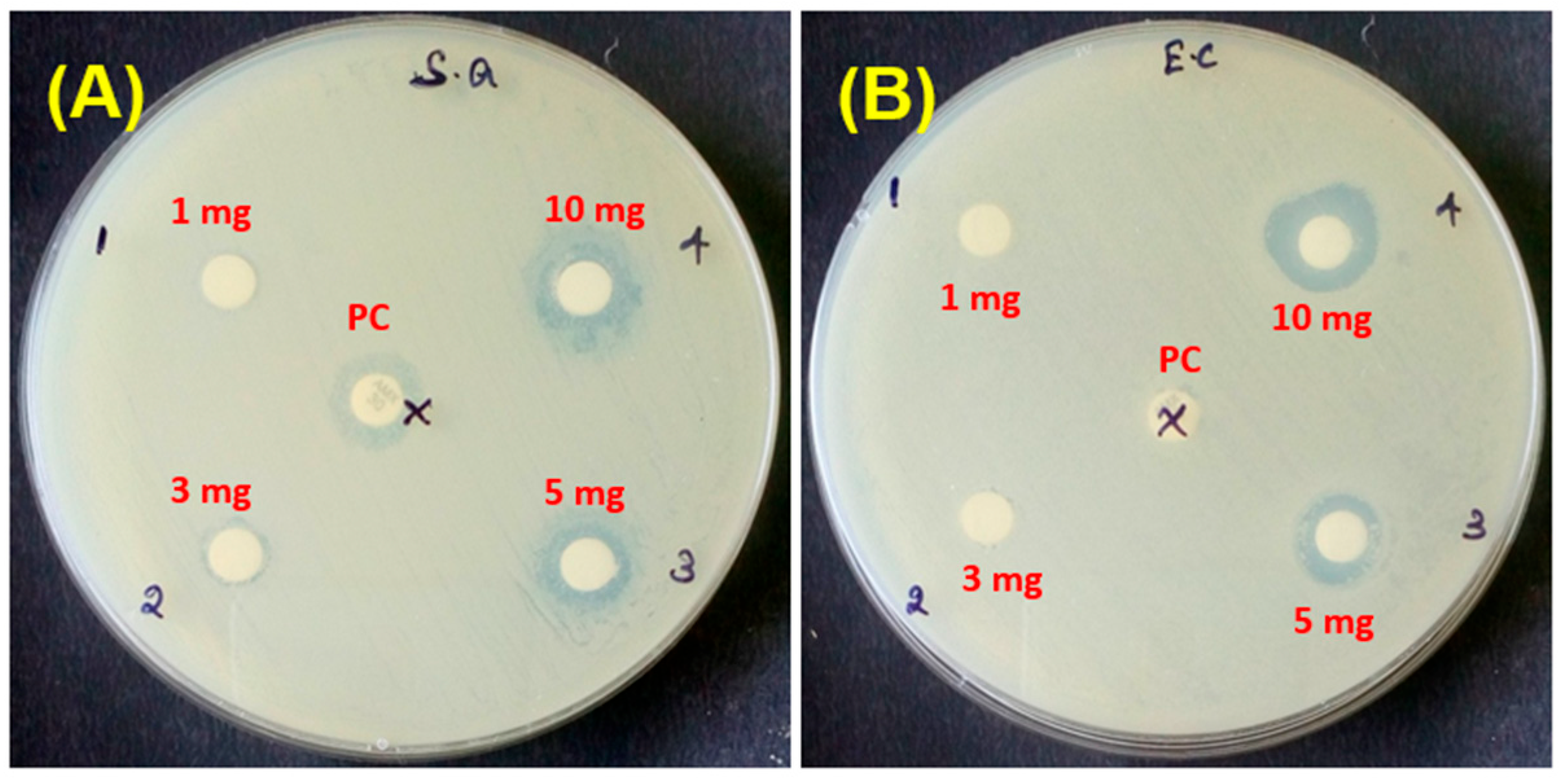 Fermentation 09 00054 g008