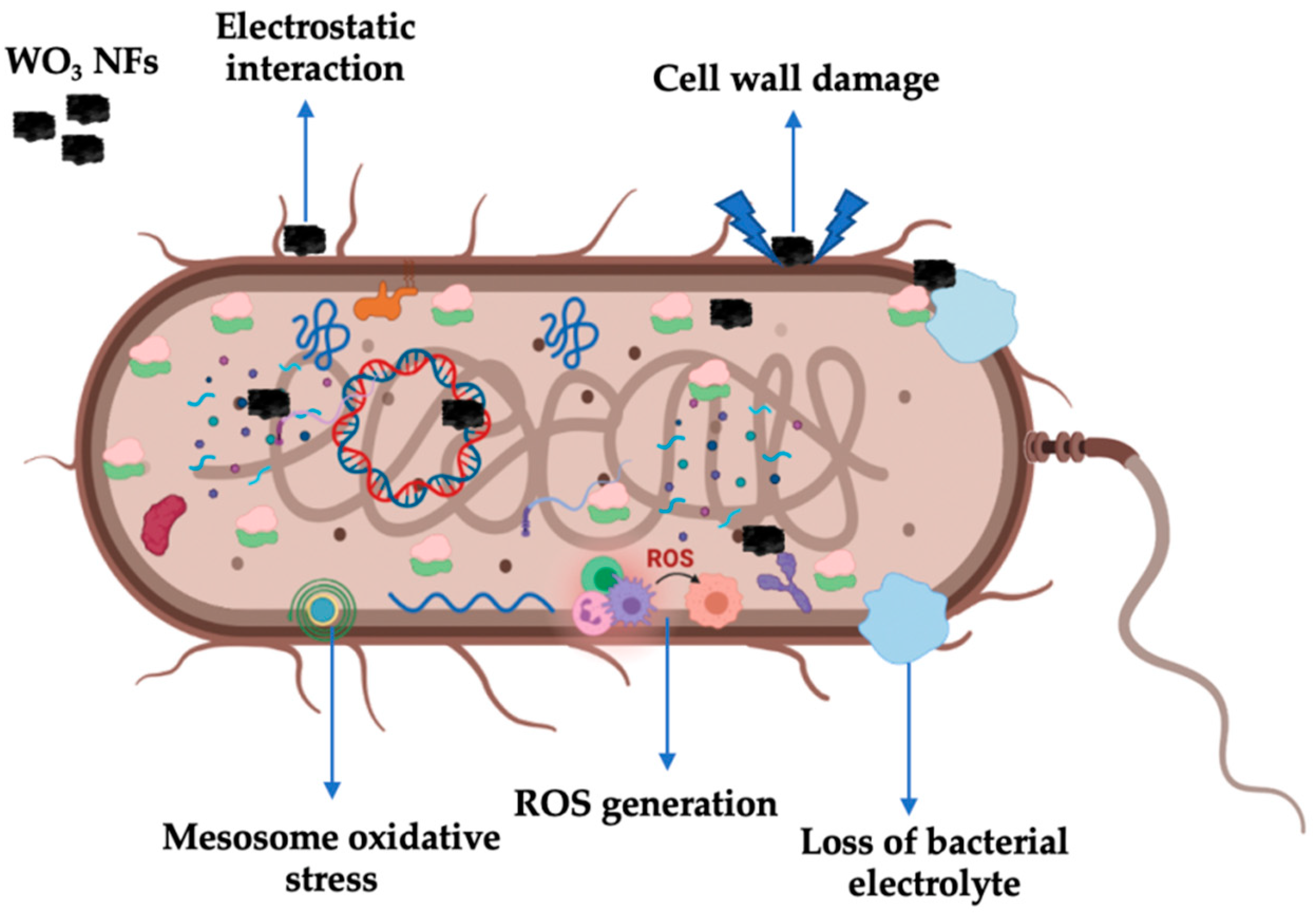 Fermentation 09 00054 g010