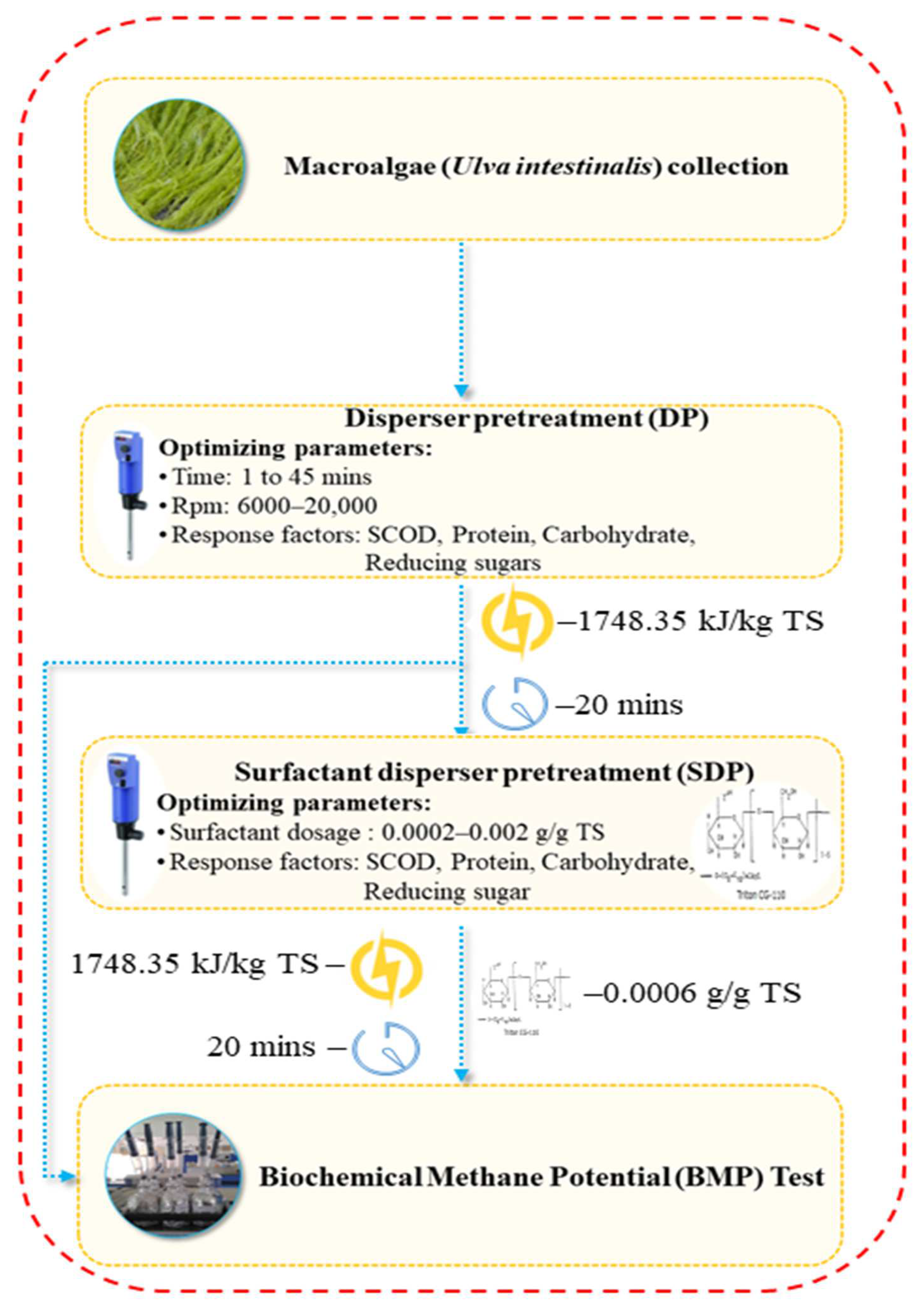 Fermentation 09 00055 g001