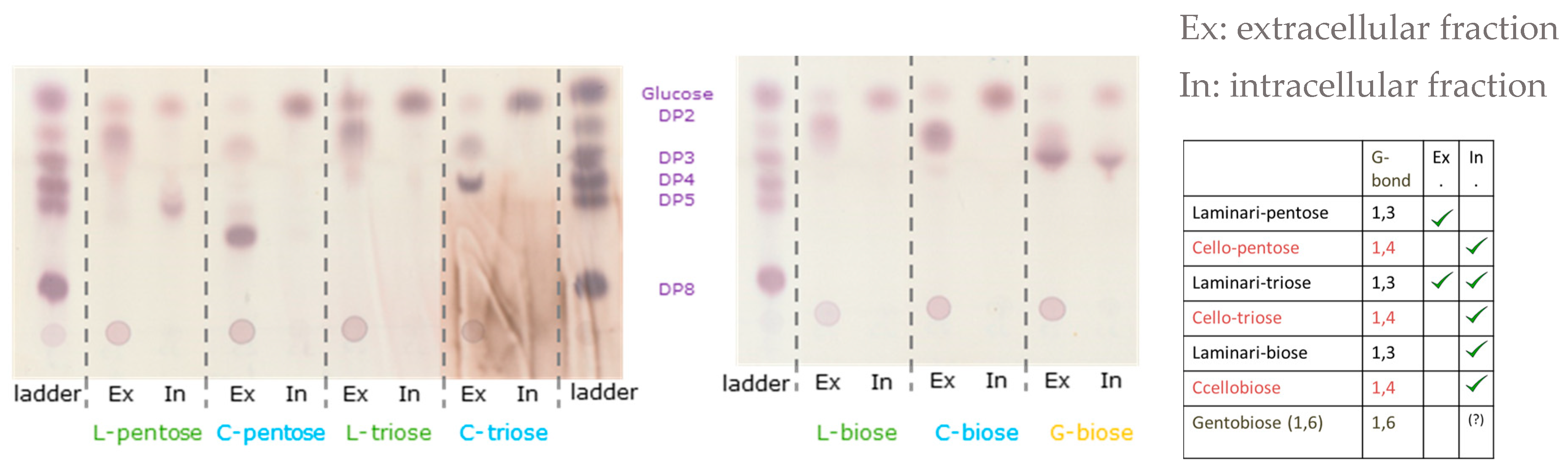 Fermentation 09 00059 g002