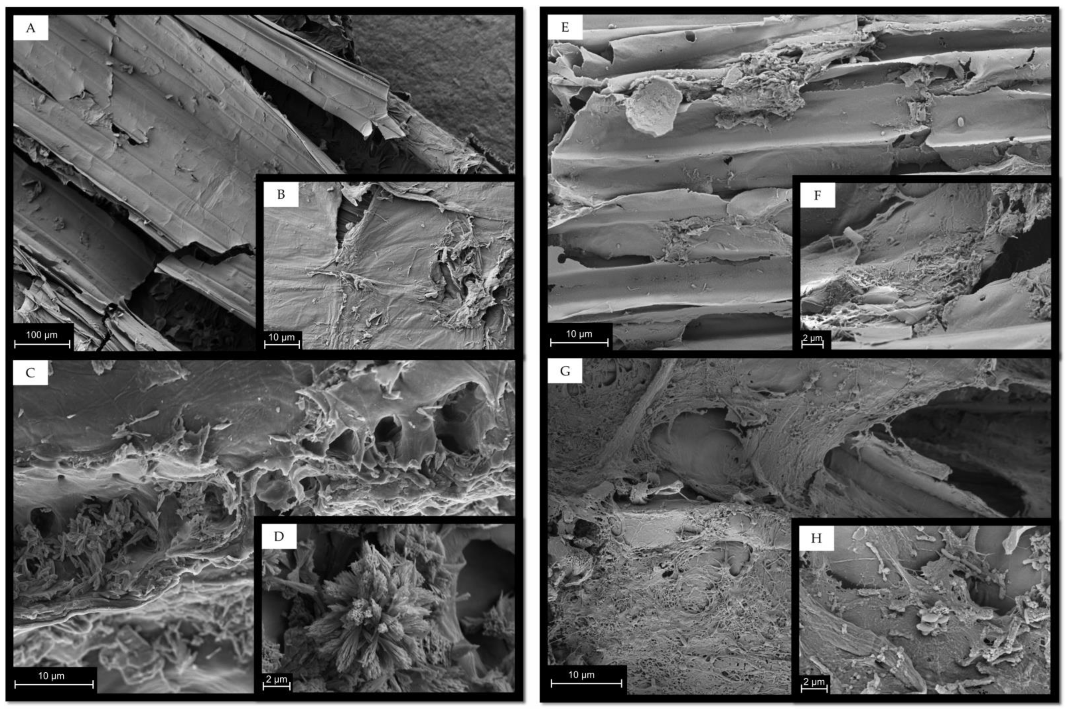Fermentation 09 00060 g003