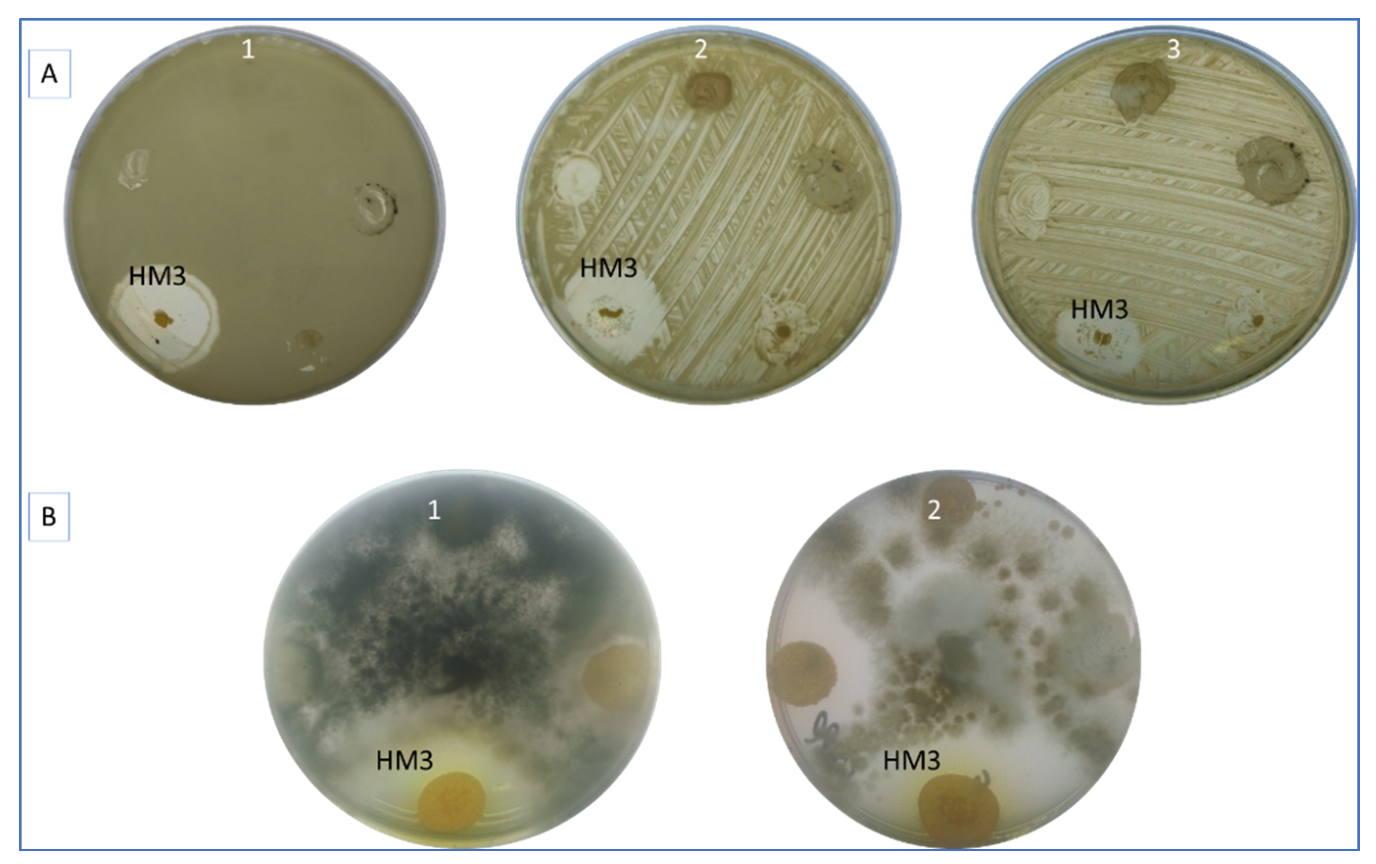 Fermentation 09 00065 g001