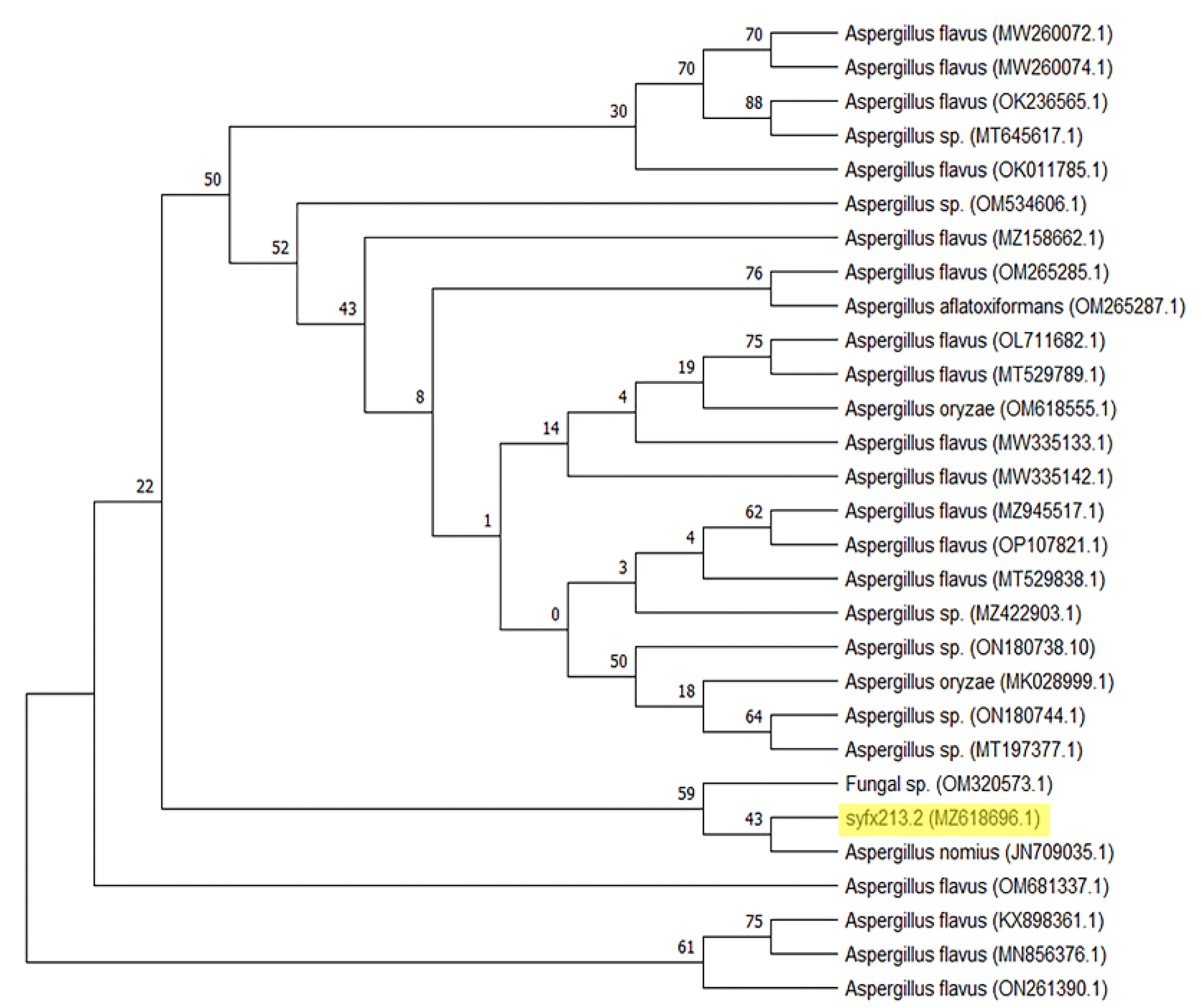 Fermentation 09 00070 g002