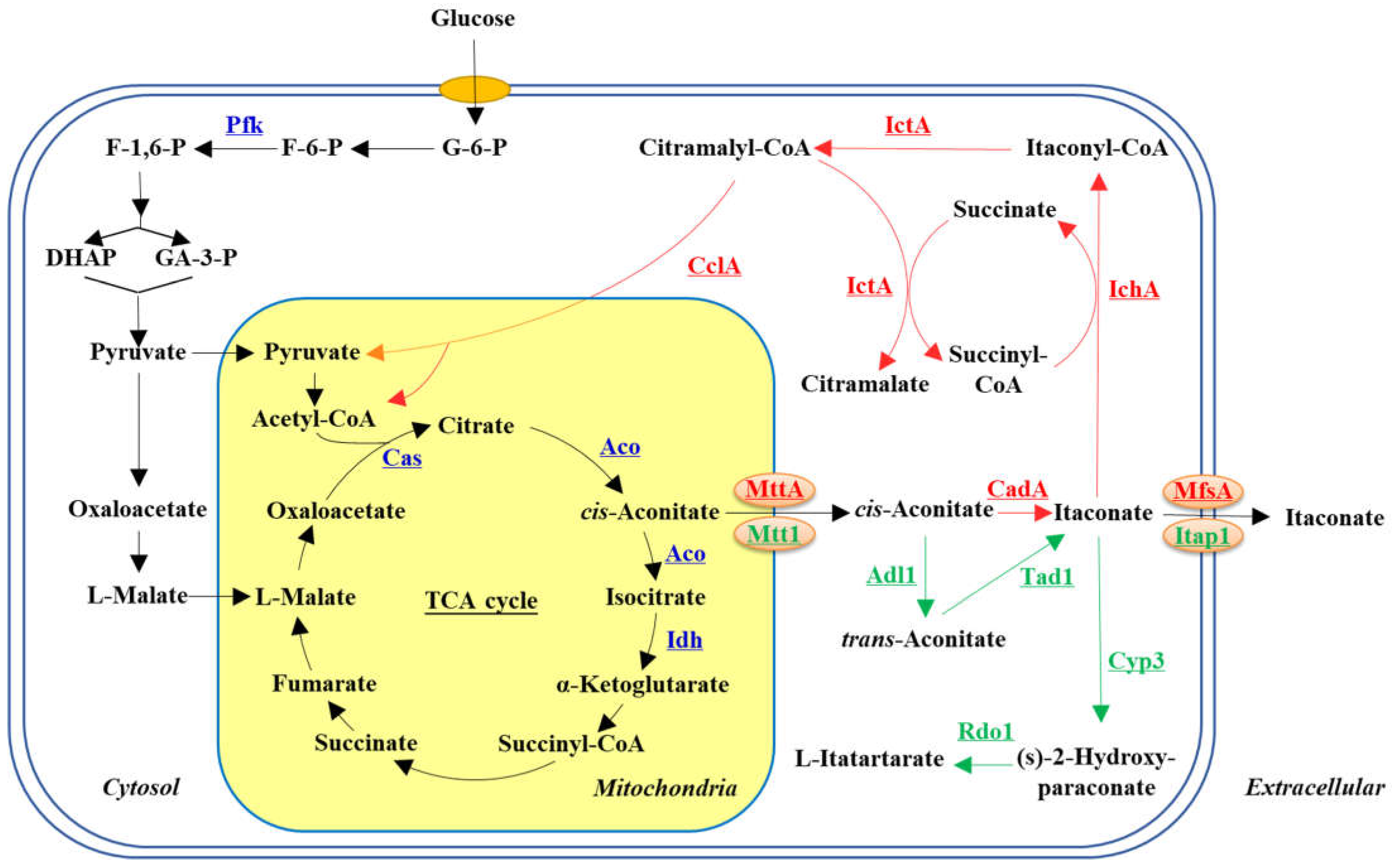 Fermentation 09 00071 g001 Fermentation 09 00071 g001