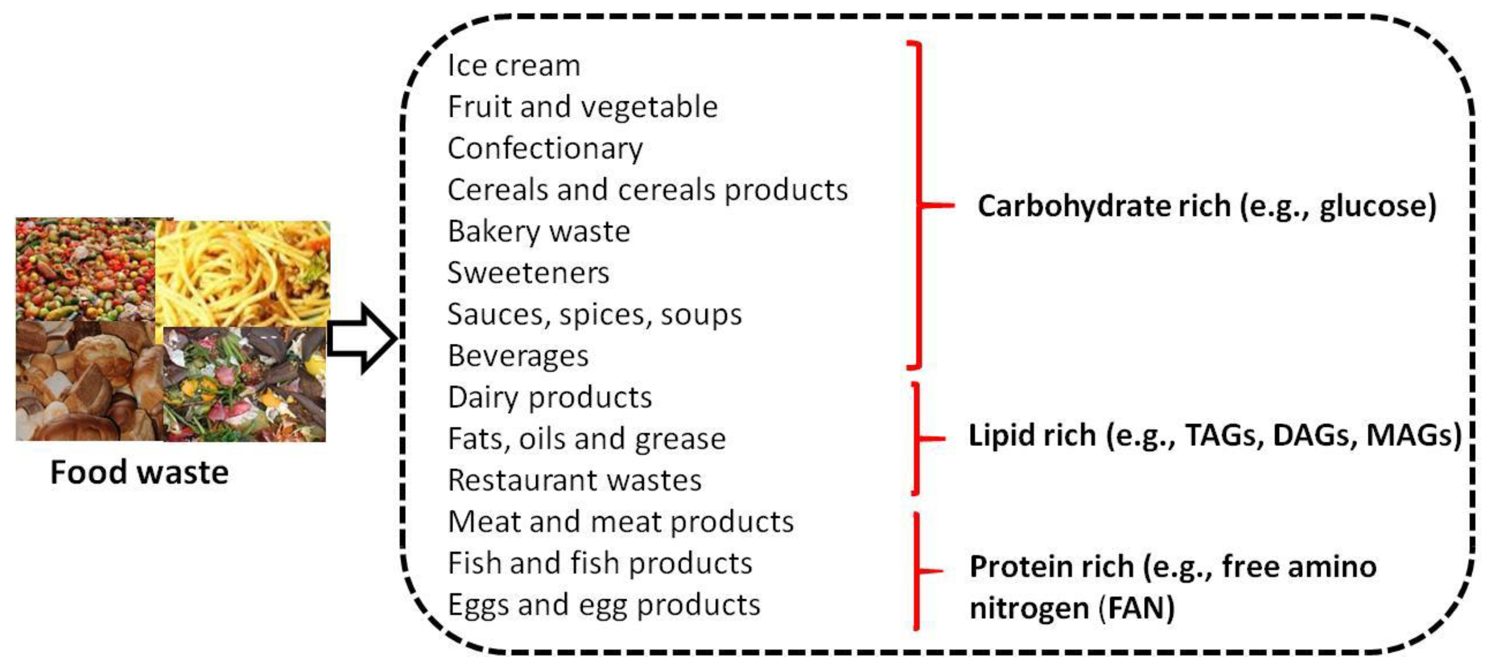 Fermentation 09 00073 g004
