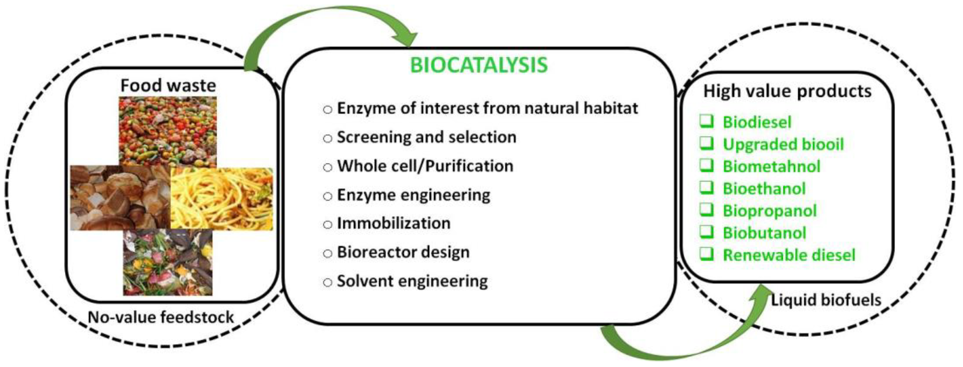 Fermentation 09 00073 g009
