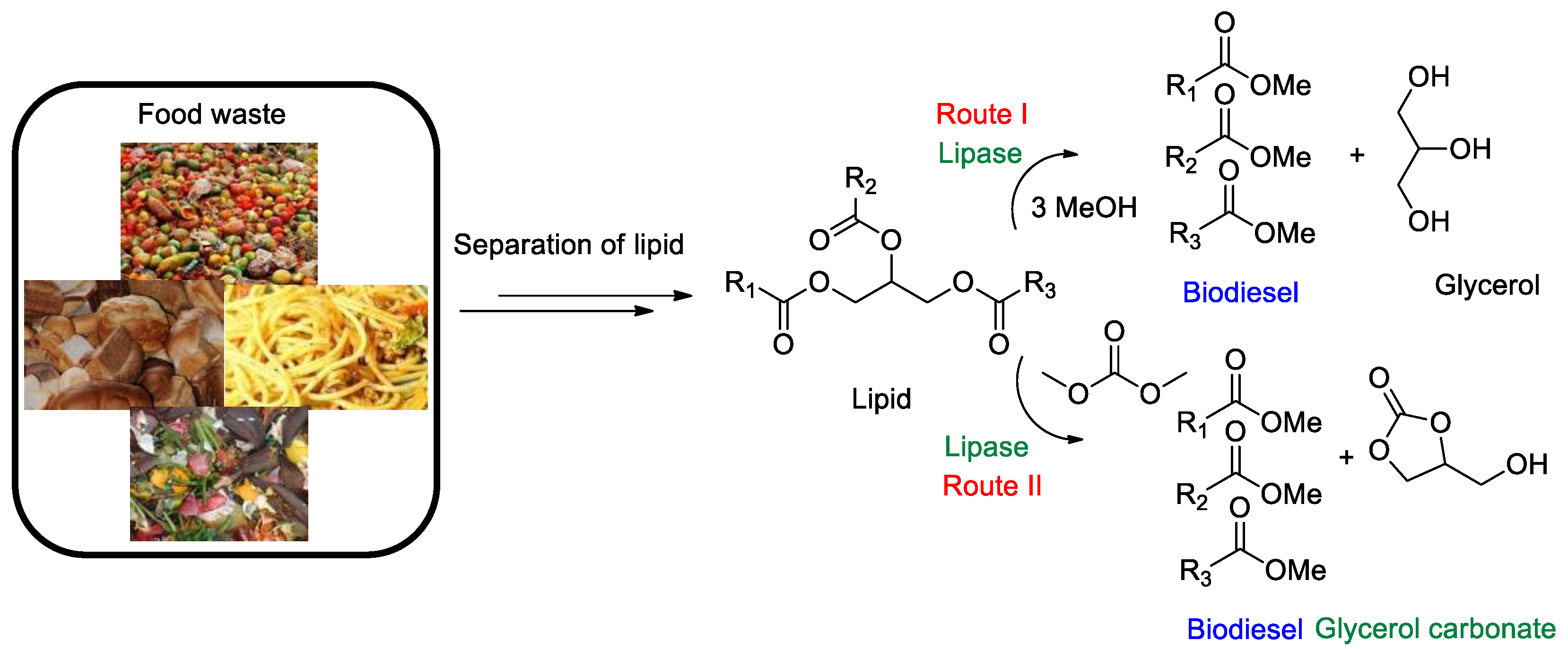 Fermentation 09 00073 g011