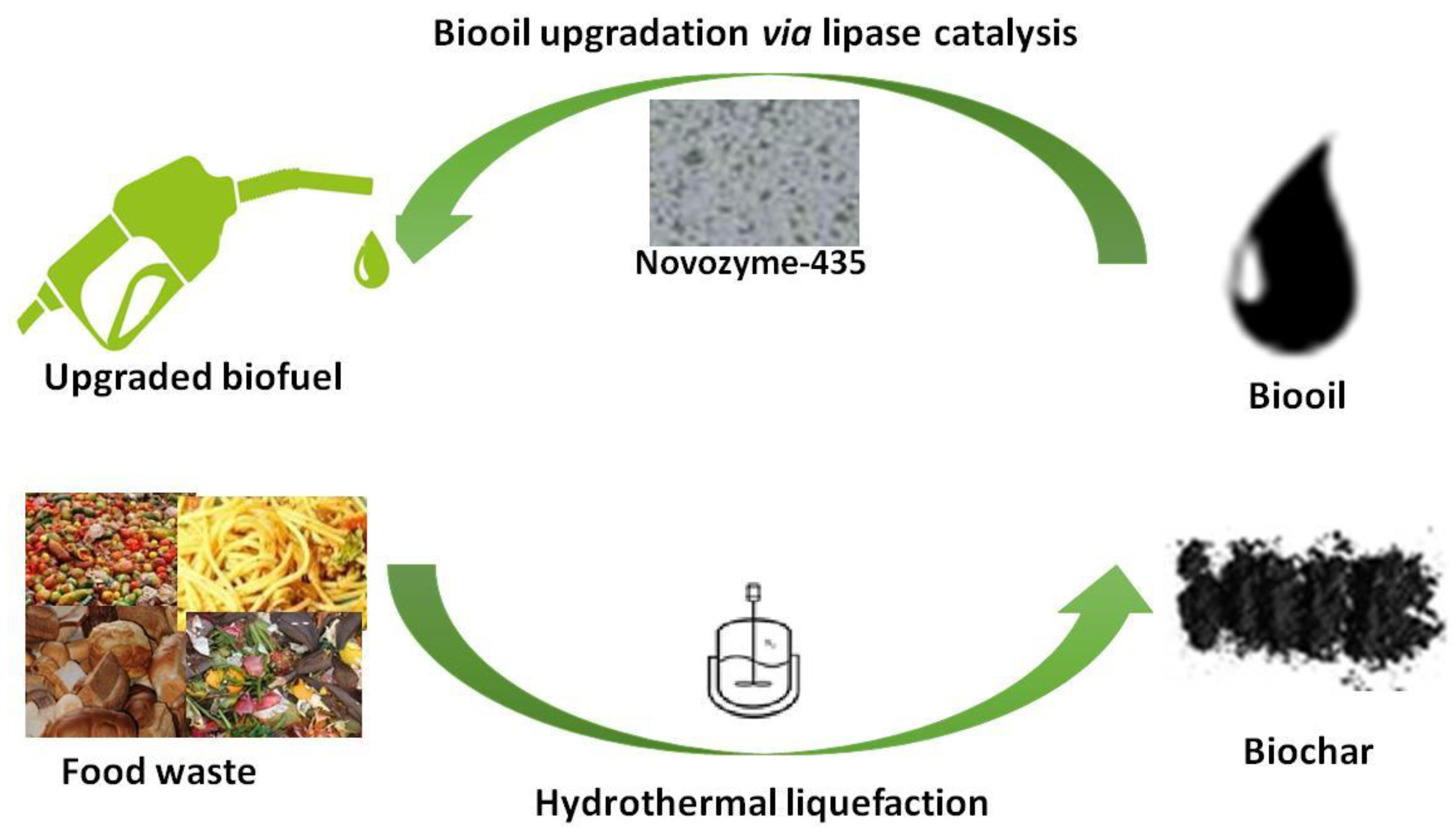 Fermentation 09 00073 g014