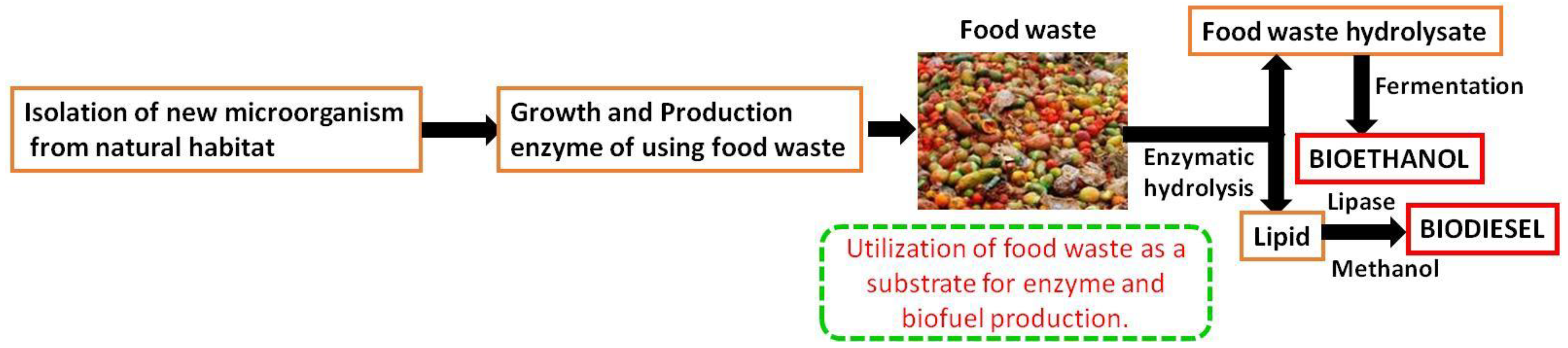 Fermentation 09 00073 g017