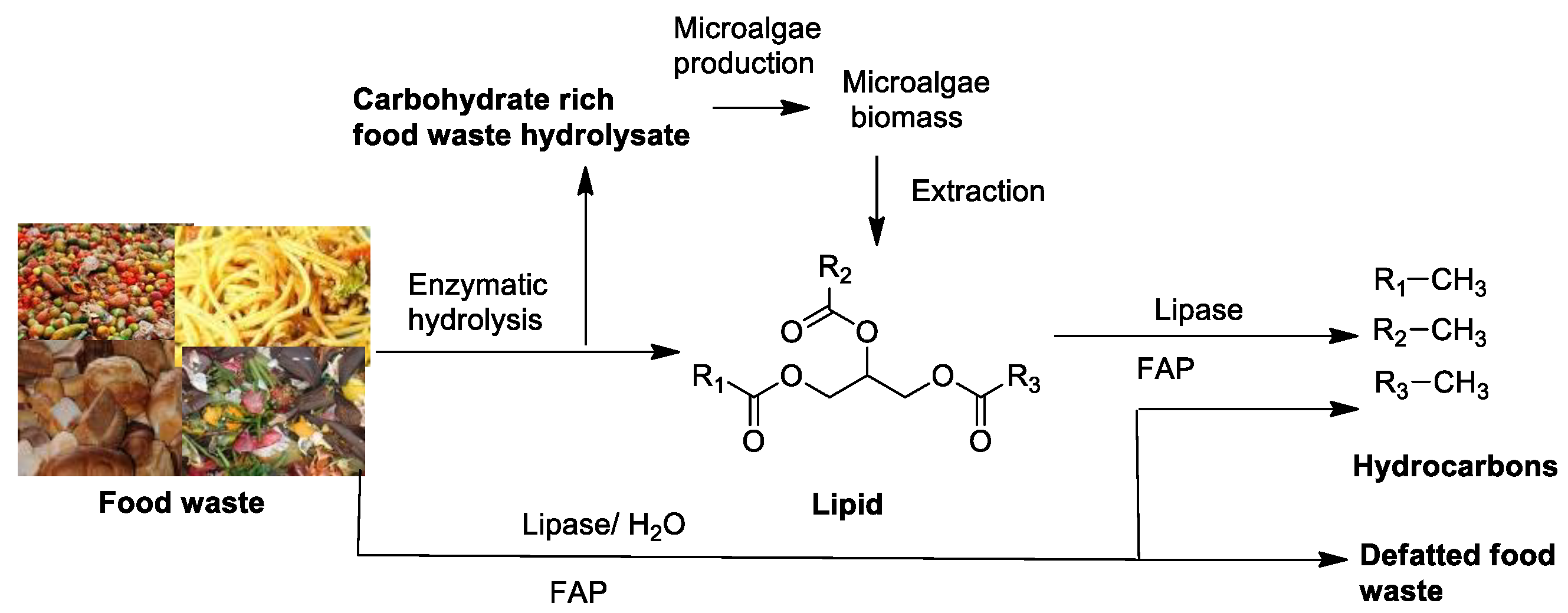 Fermentation 09 00073 g019