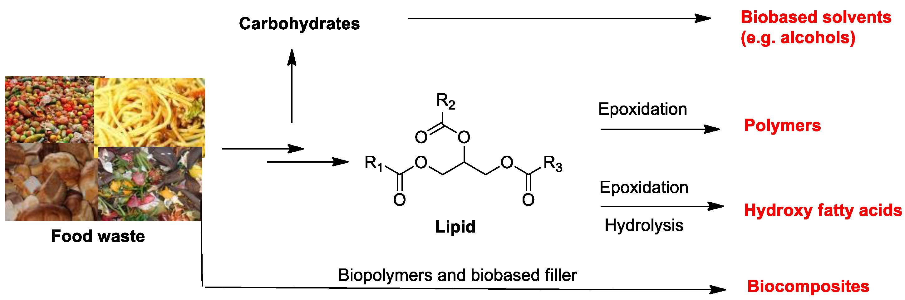 Fermentation 09 00073 g021