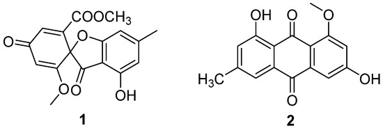 siberian mouses cumshot The Genus Chrysosporium: A Potential Producer of Natural Products