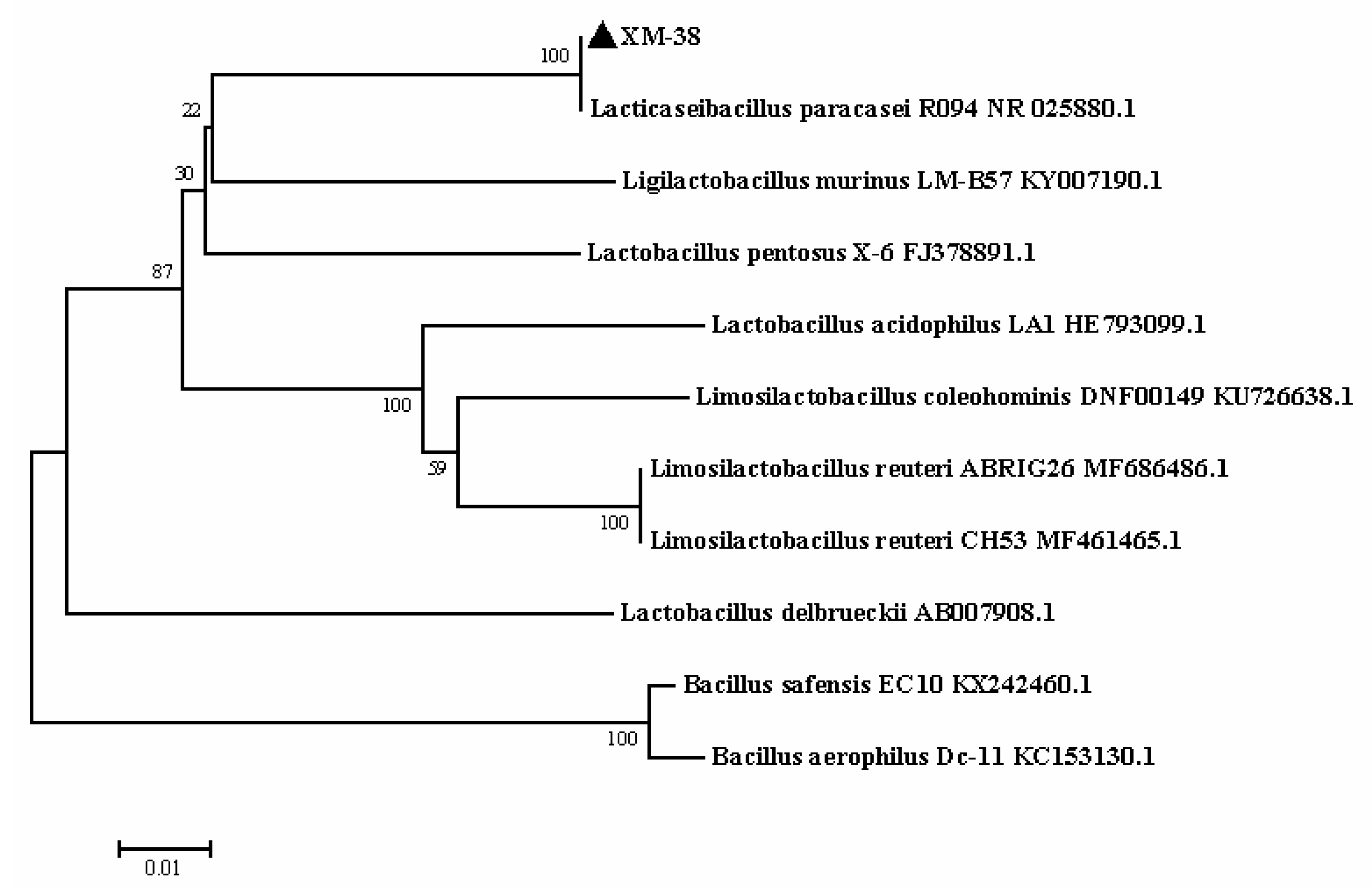 Fermentation 09 00087 g002 Fermentation 09 00087 g002