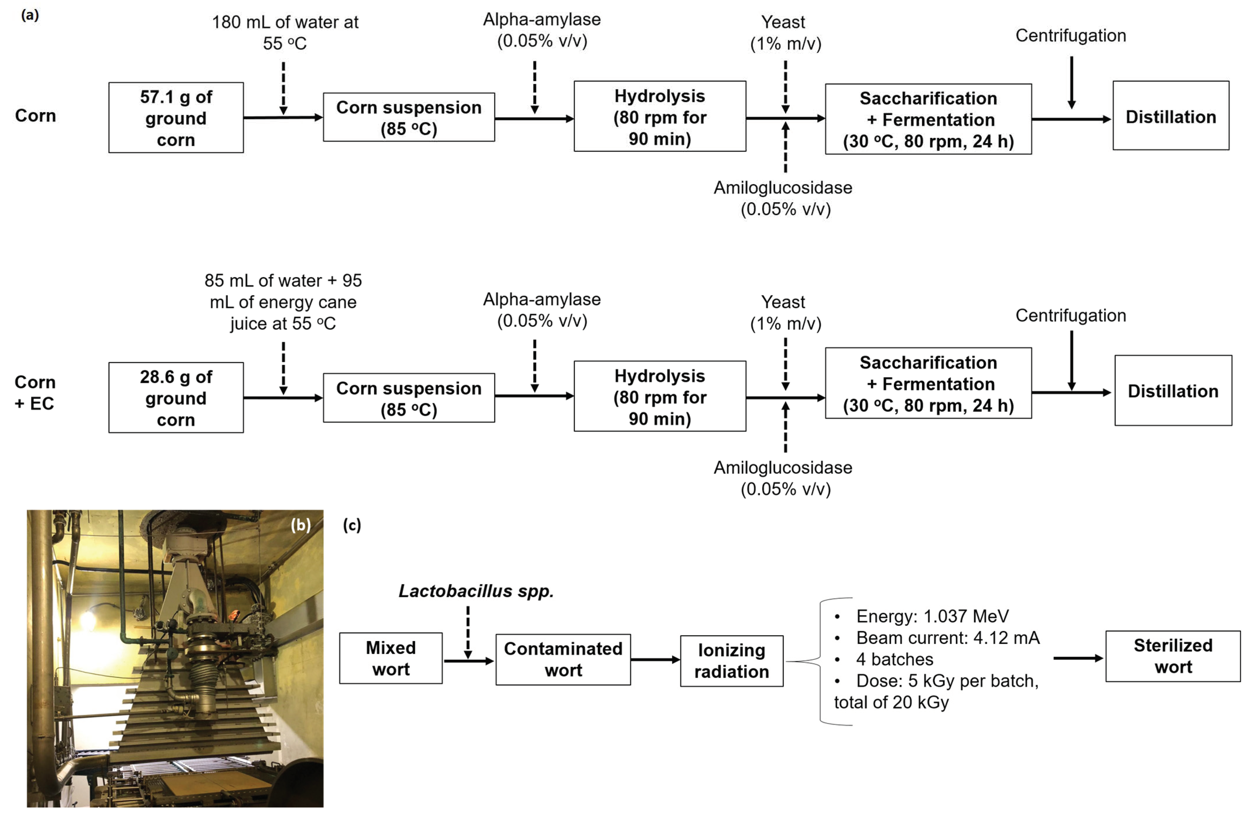 Fermentation 09 00089 g001