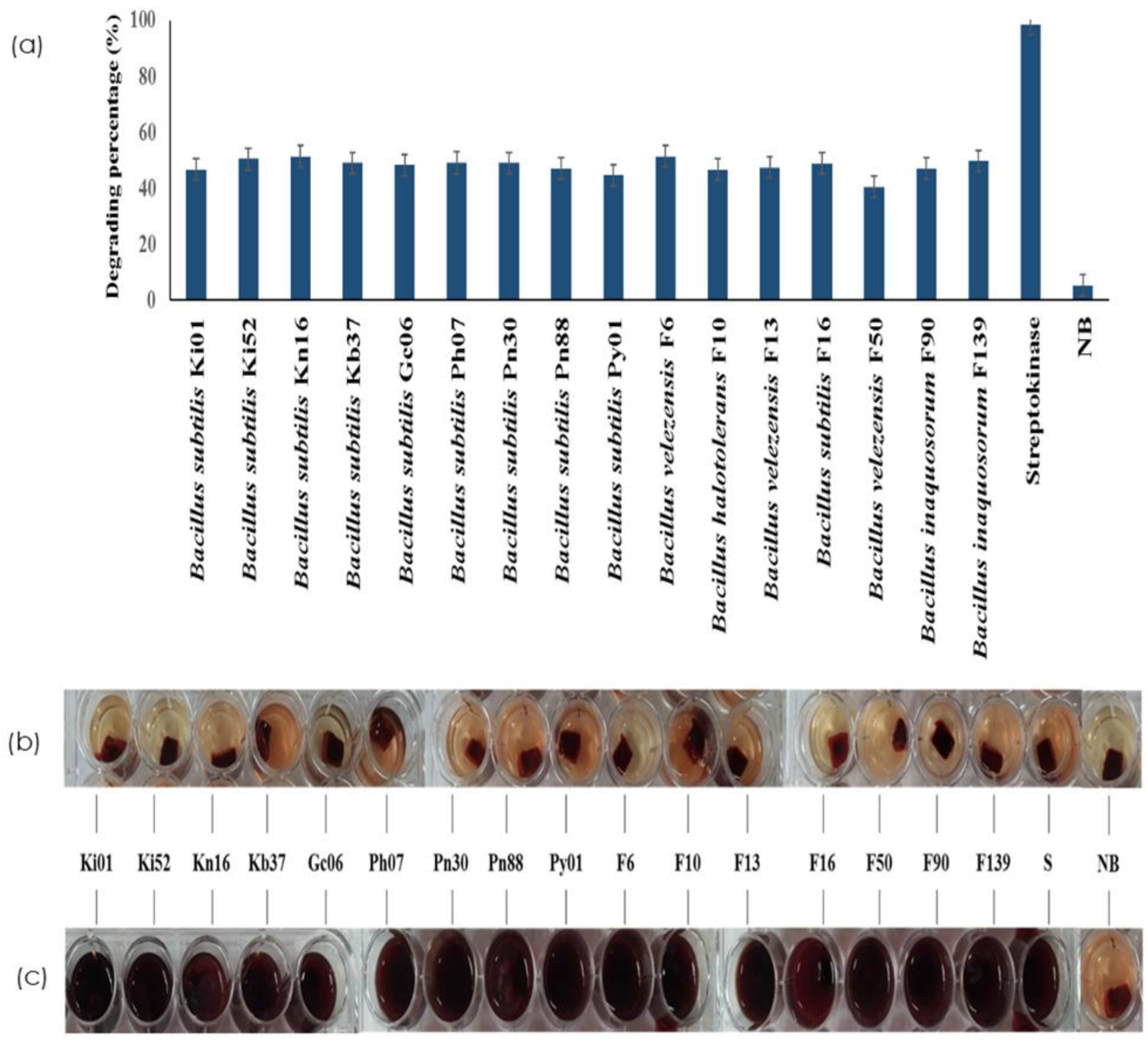 Fermentation 09 00091 g003