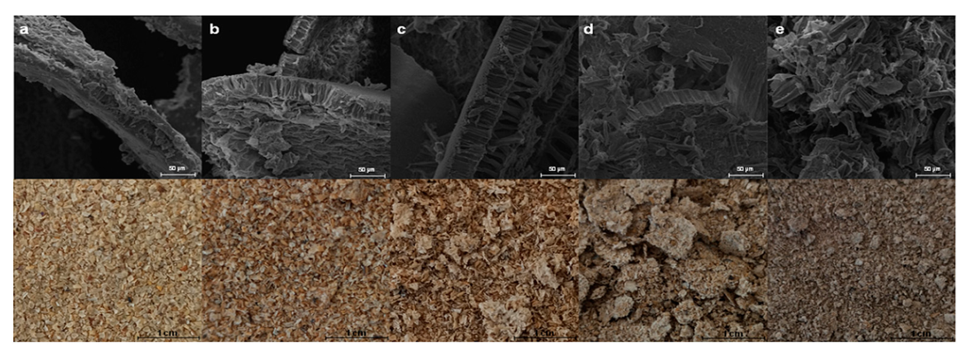 Fermentation 09 00093 g002 Fermentation 09 00093 g002