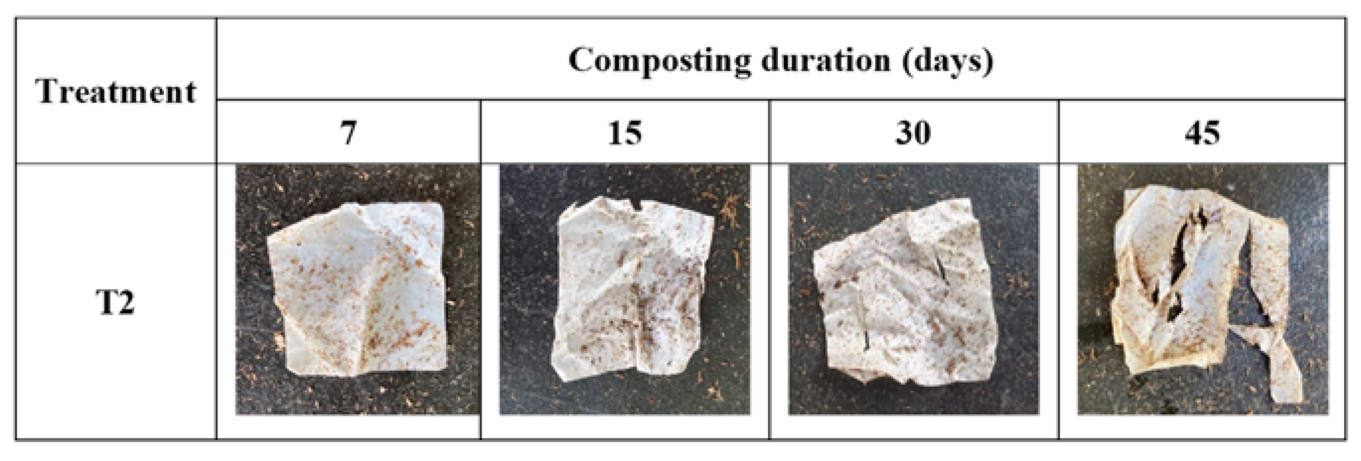 Fermentation 09 00097 g003