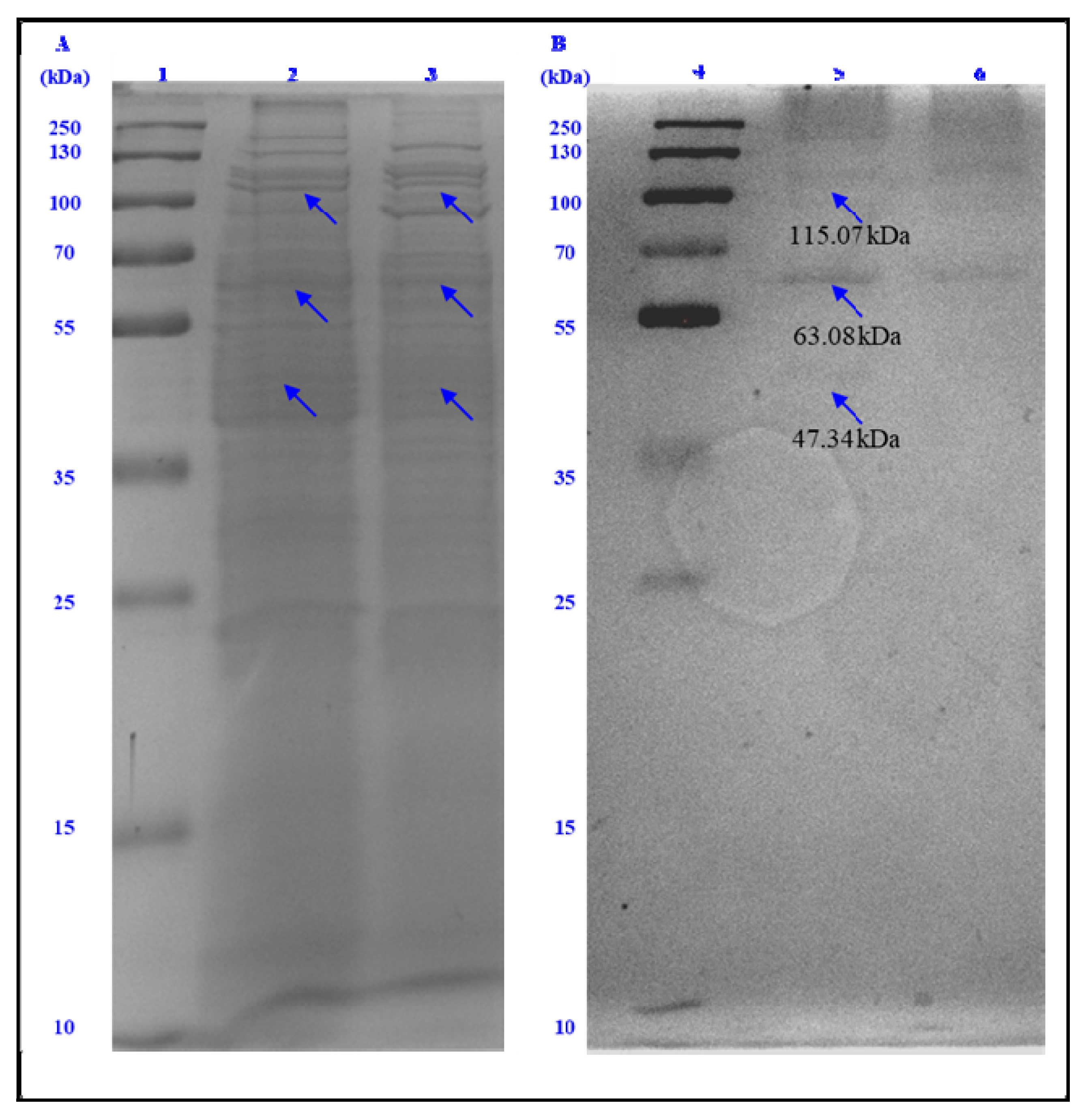 Fermentation 09 00098 g002 Fermentation 09 00098 g002