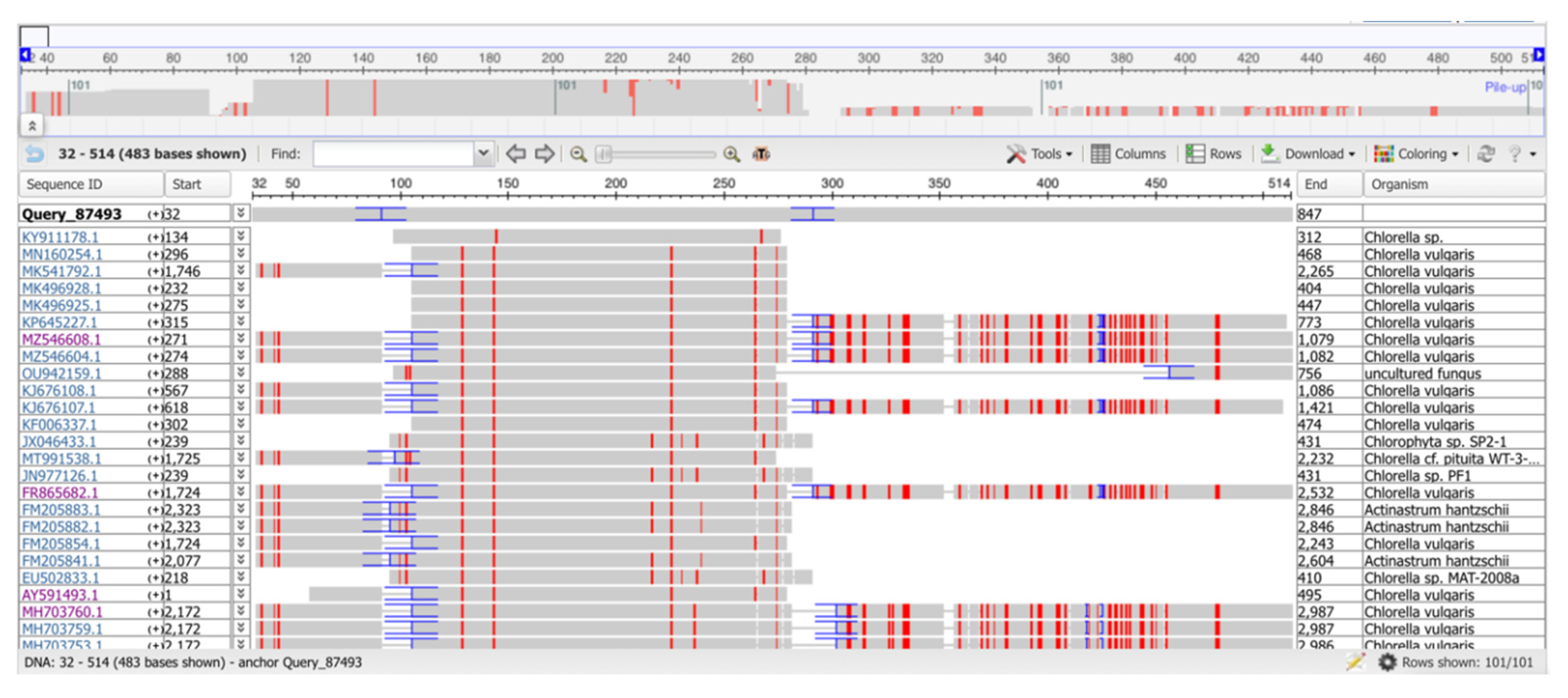 Fermentation 09 00116 g001