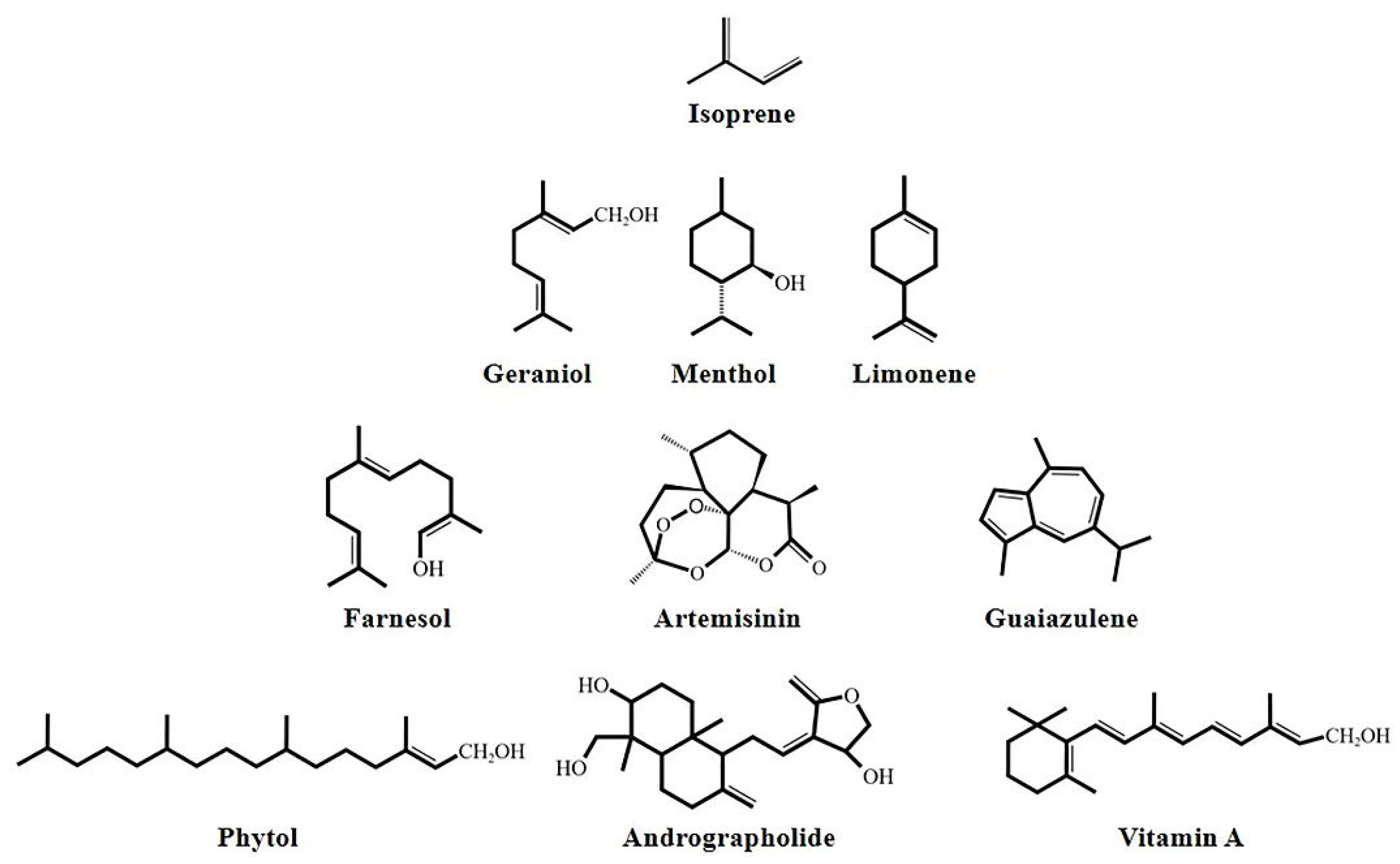 Fermentation 09 00119 g001