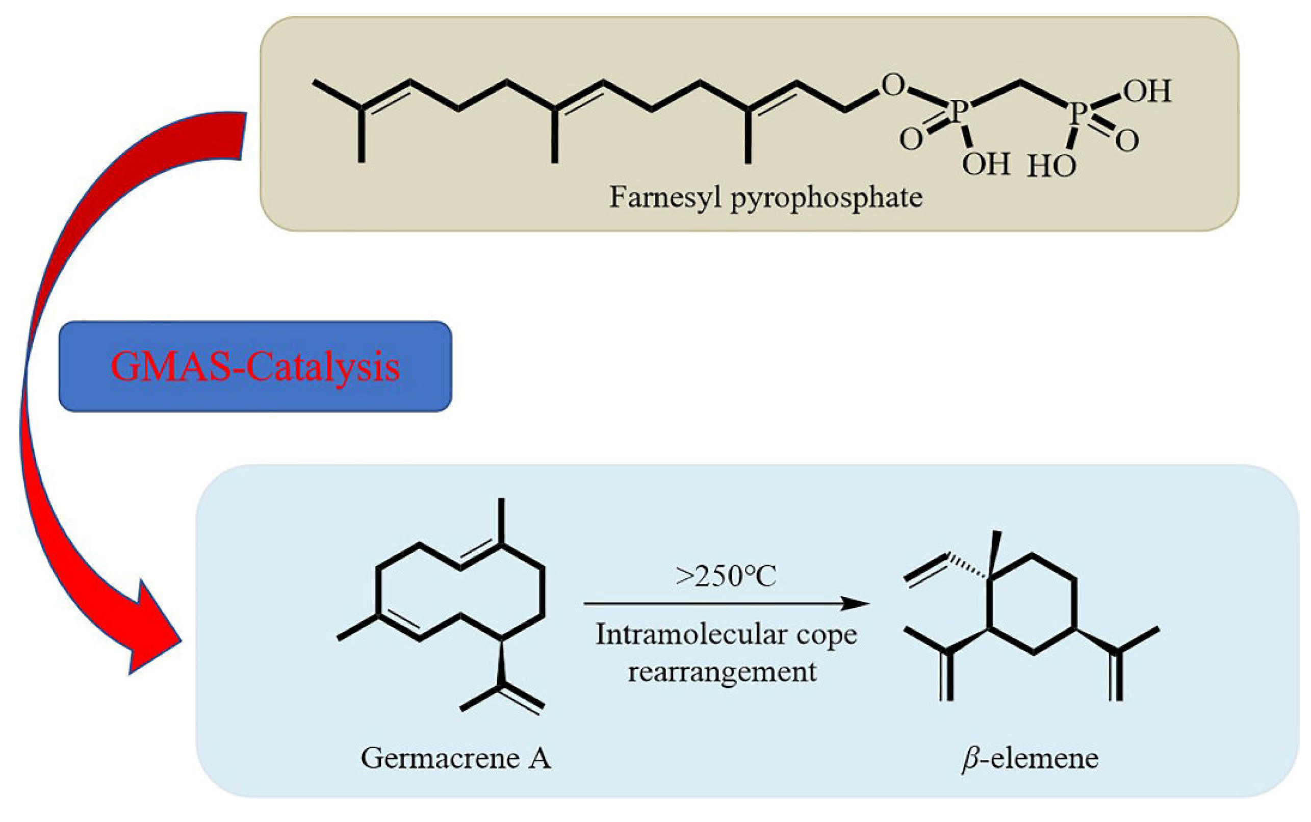 Fermentation 09 00119 g004