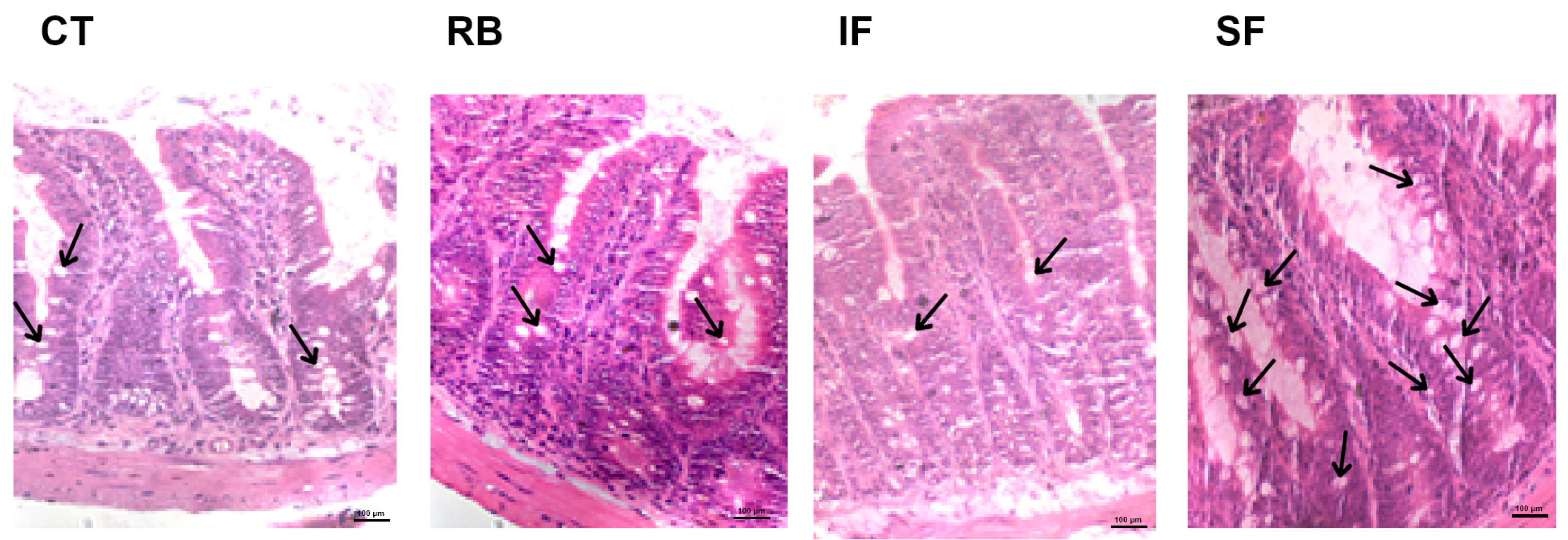 Fermentation 09 00126 g006 Fermentation 09 00126 g006