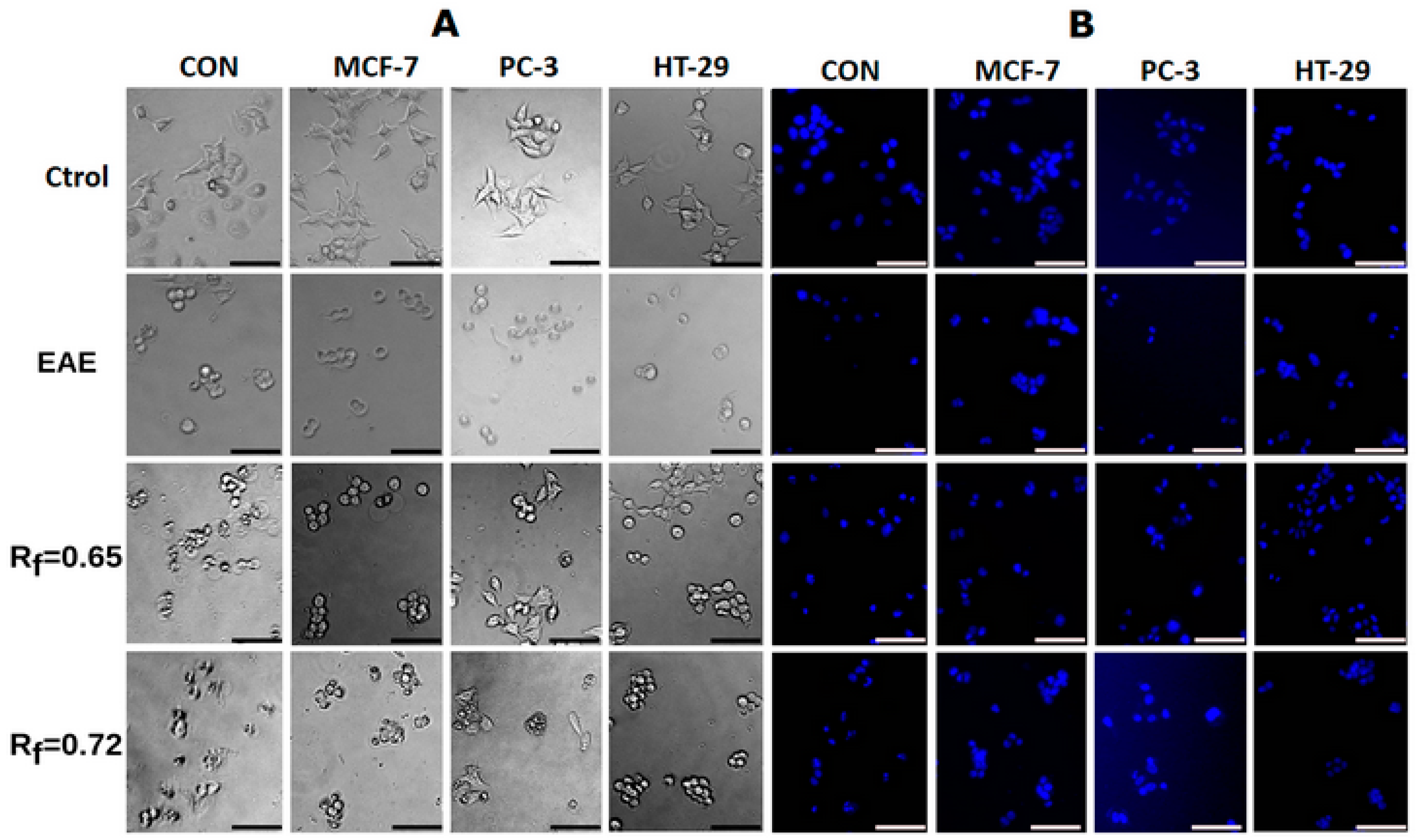 Fermentation 09 00129 g002 Fermentation 09 00129 g002