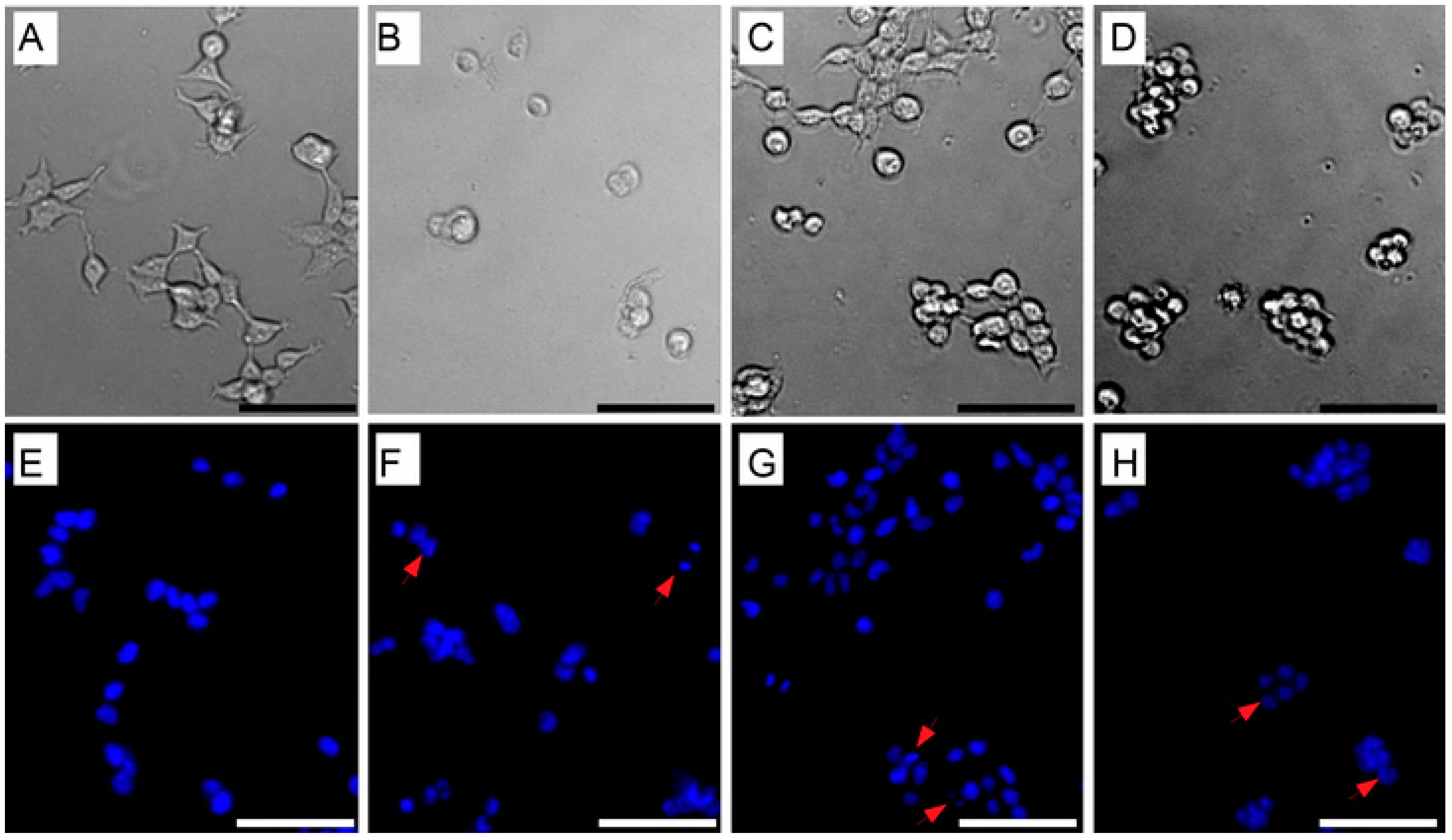 Fermentation 09 00129 g003 Fermentation 09 00129 g003