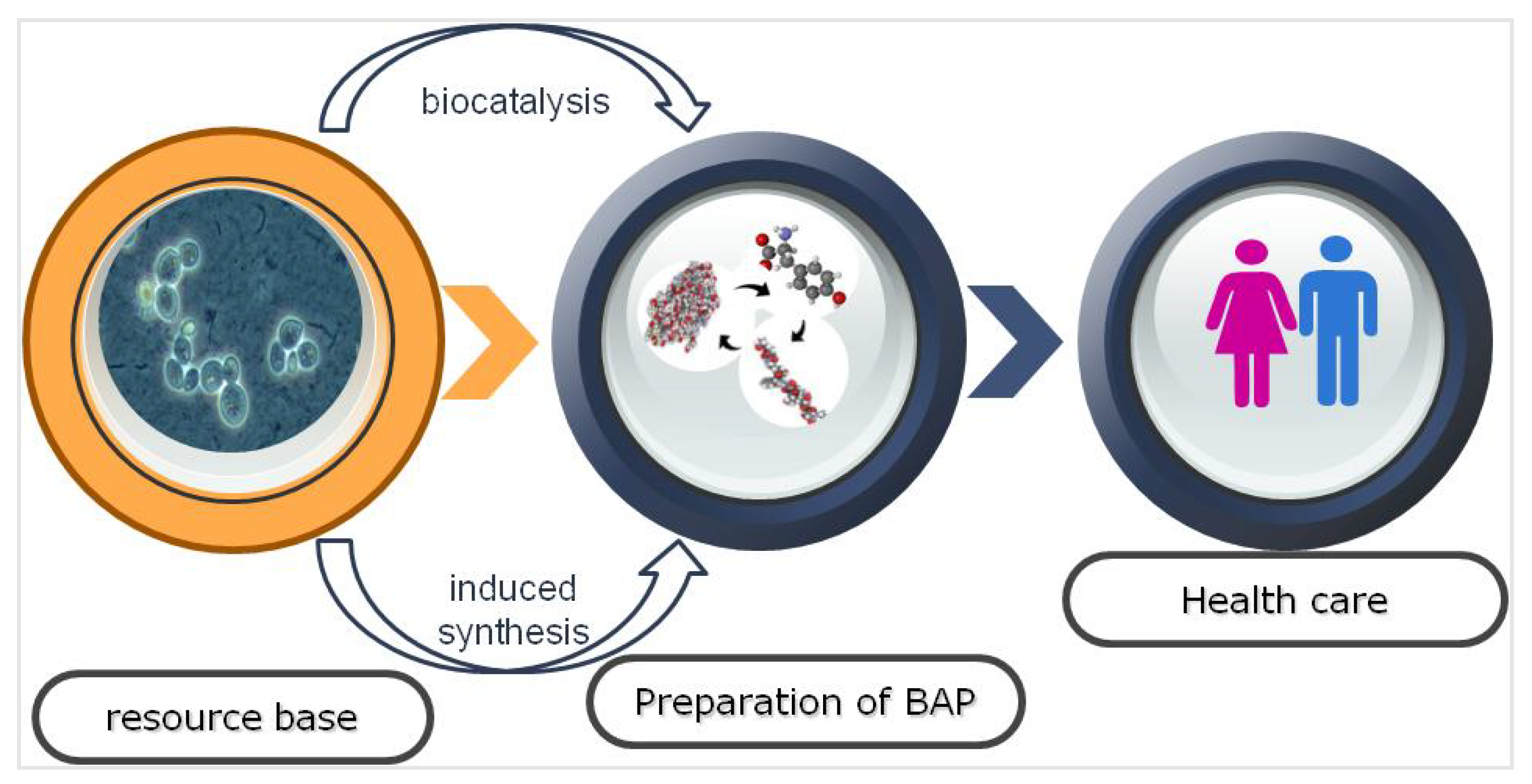 Fermentation 09 00132 g001