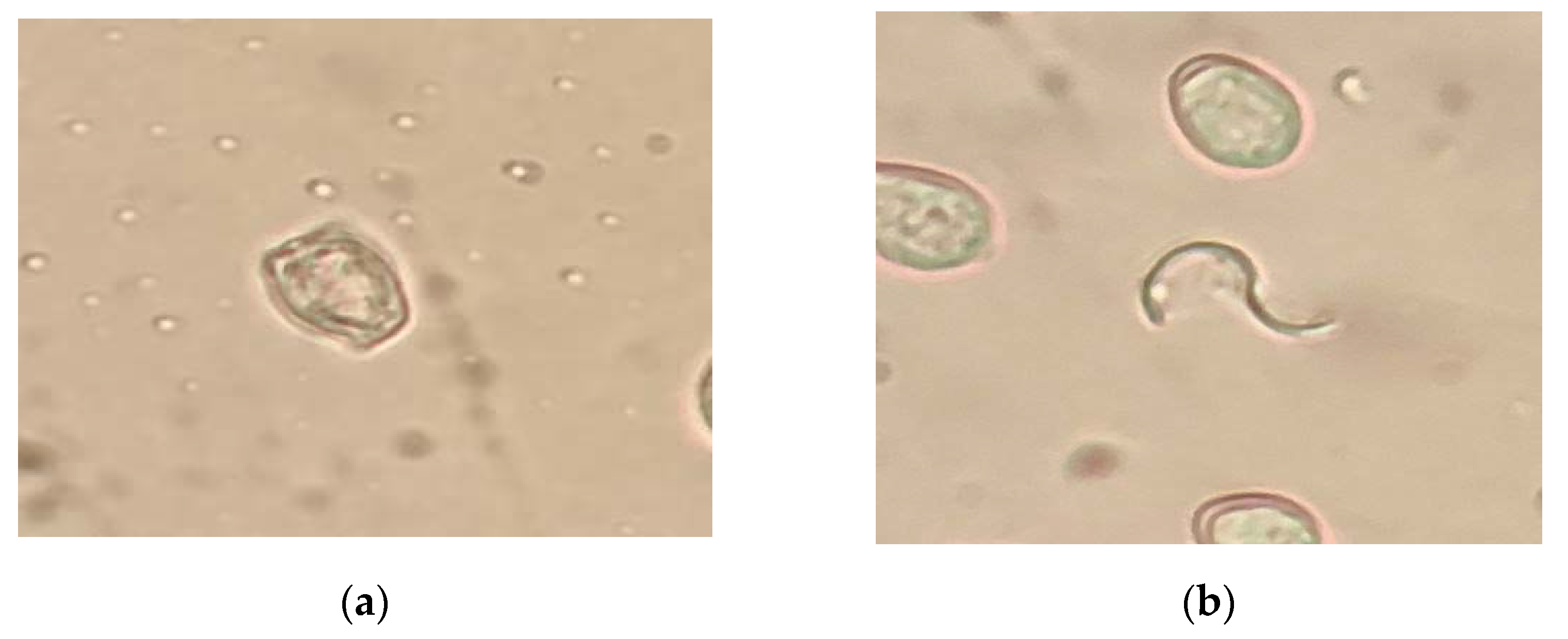 Fermentation 09 00132 g003