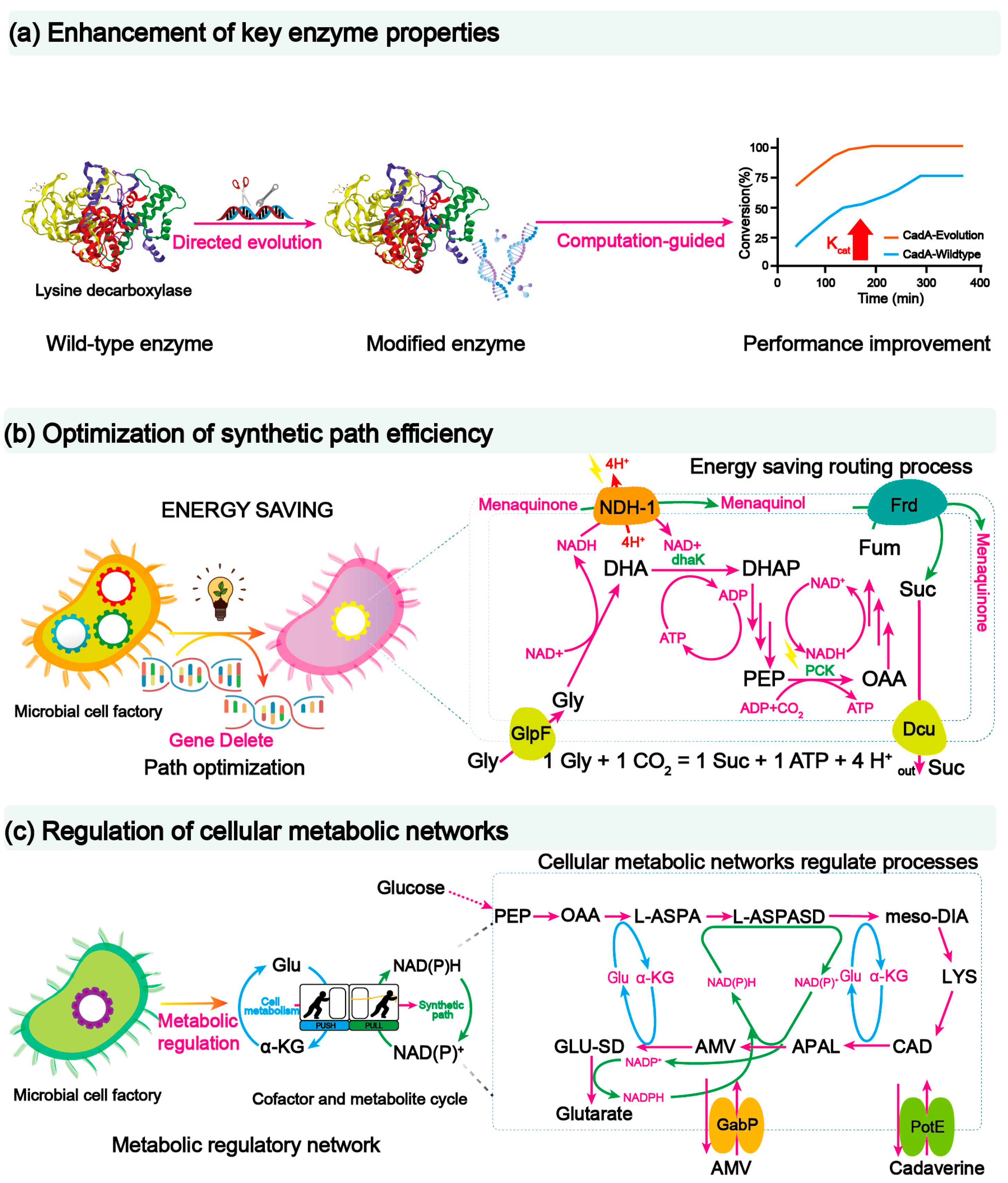 Fermentation 09 00137 g003