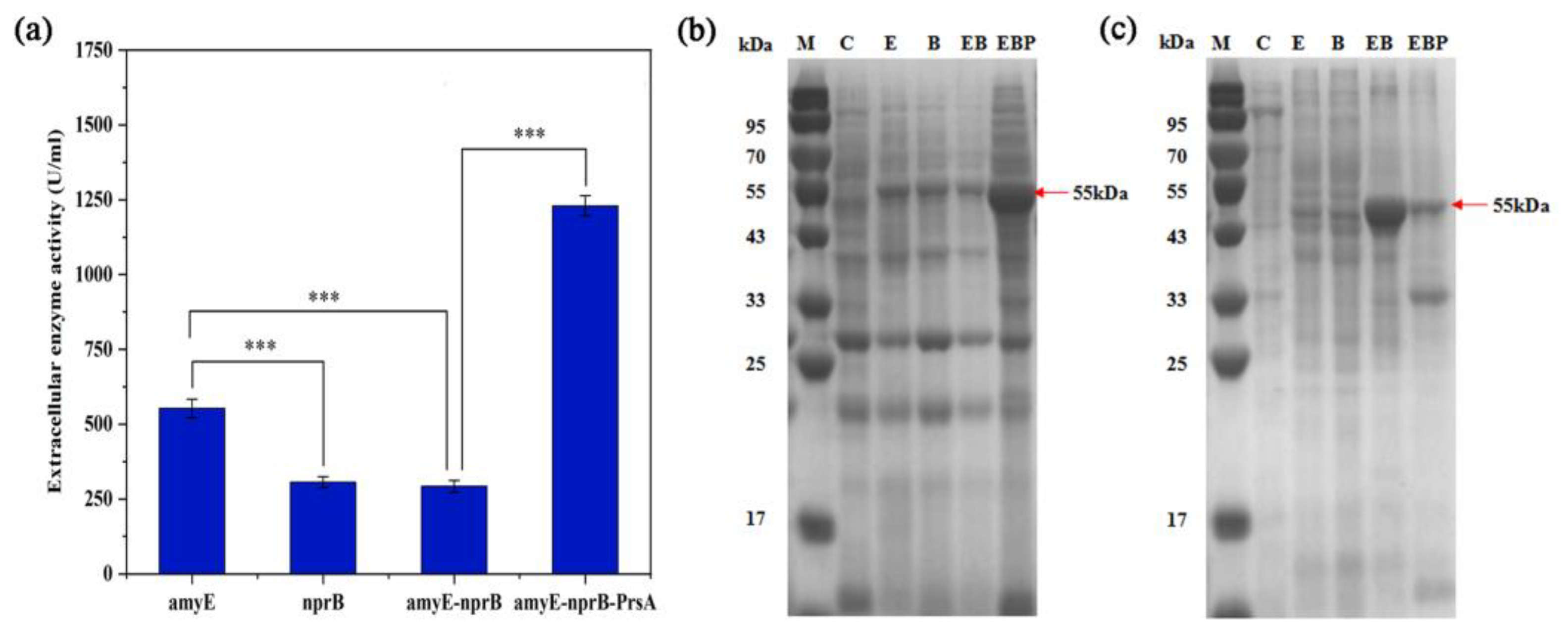 Fermentation 09 00139 g003