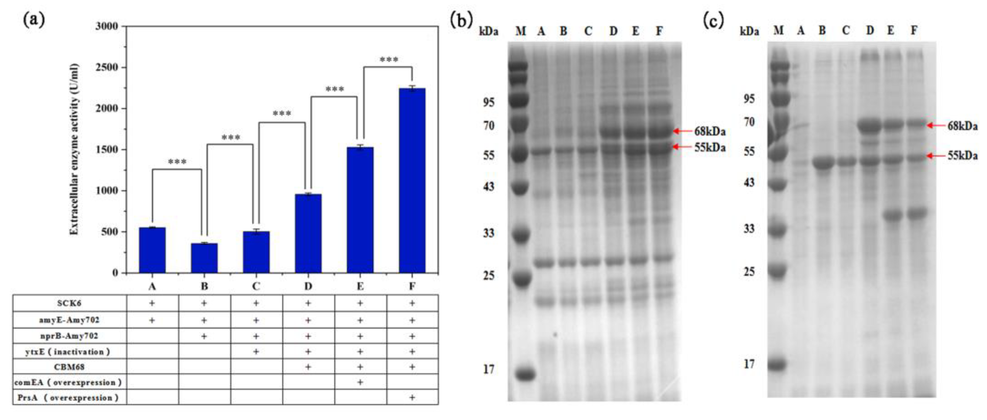 Fermentation 09 00139 g004