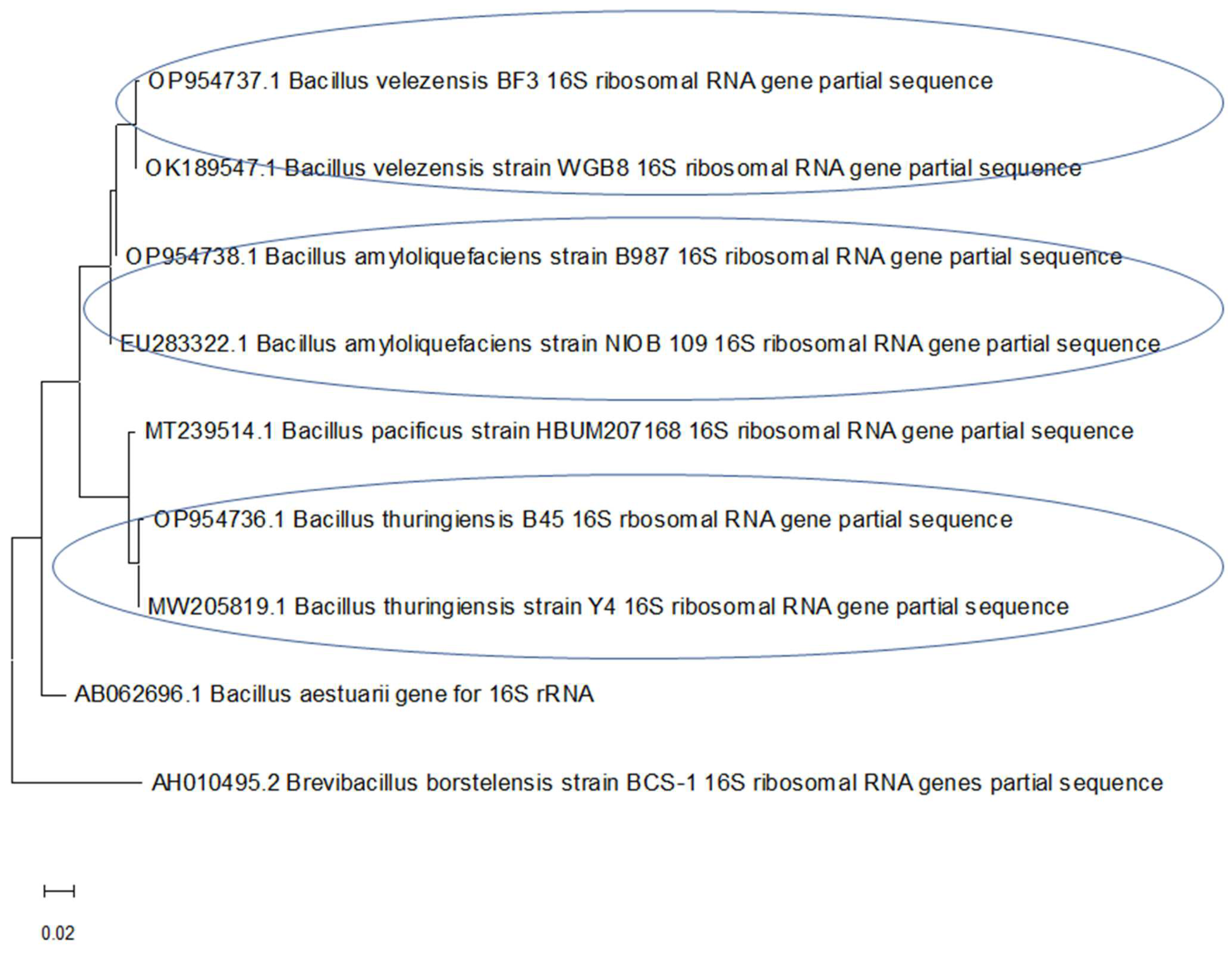 Fermentation 09 00141 g001