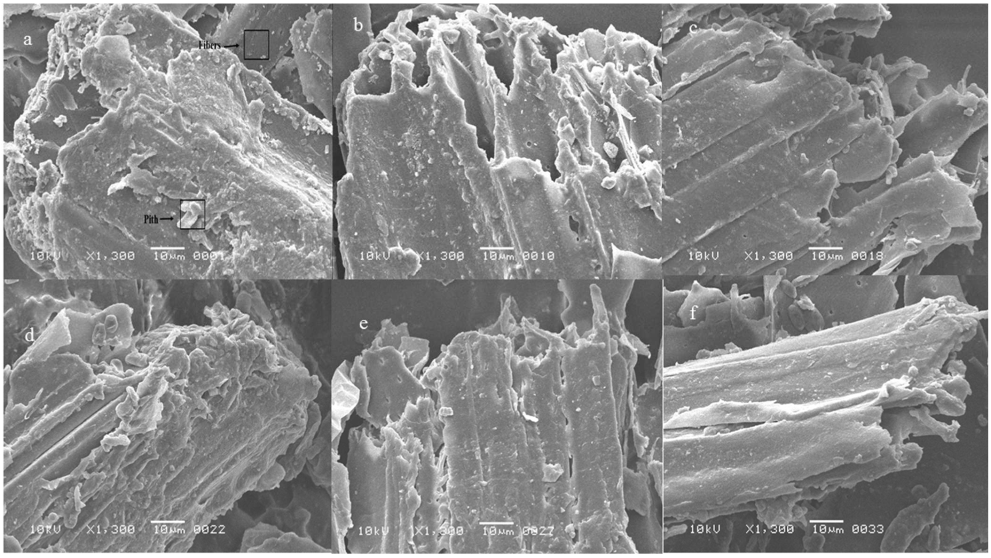 Fermentation 09 00141 g002