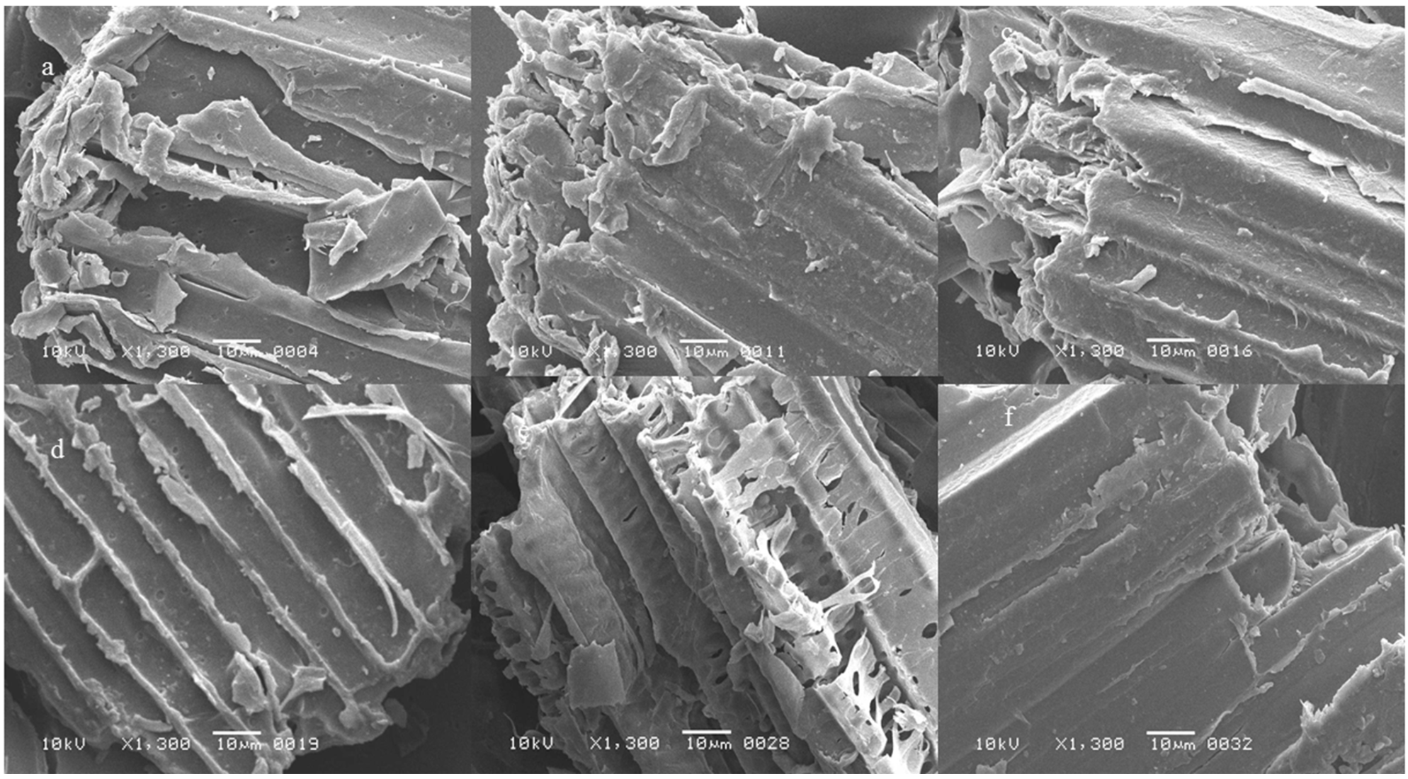 Fermentation 09 00141 g003